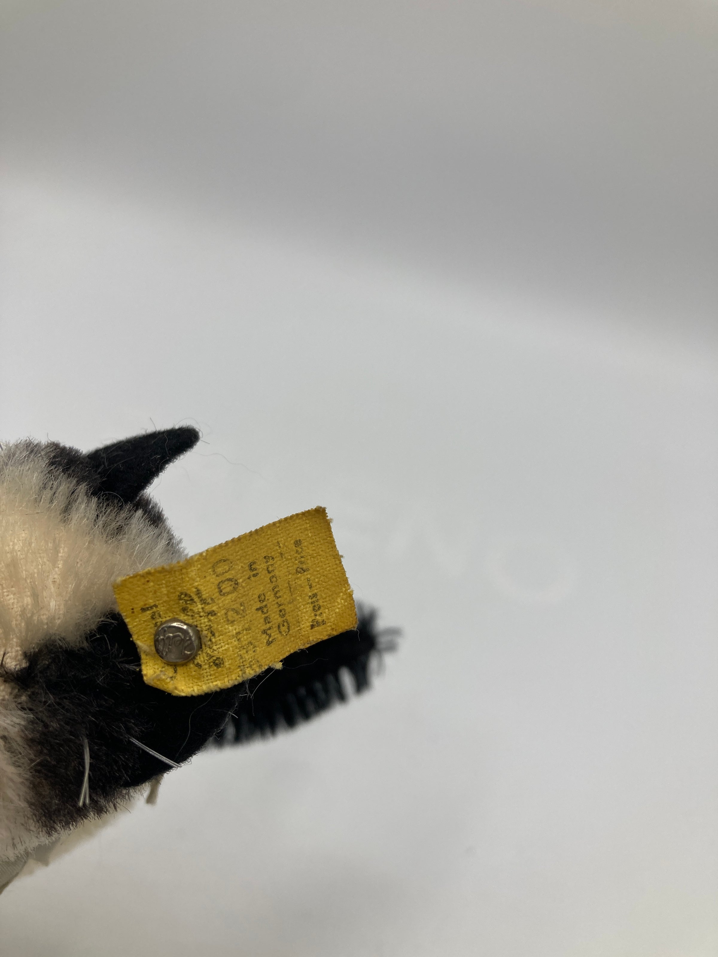 Steiff Small Gussy Cat With All IDs | My Site