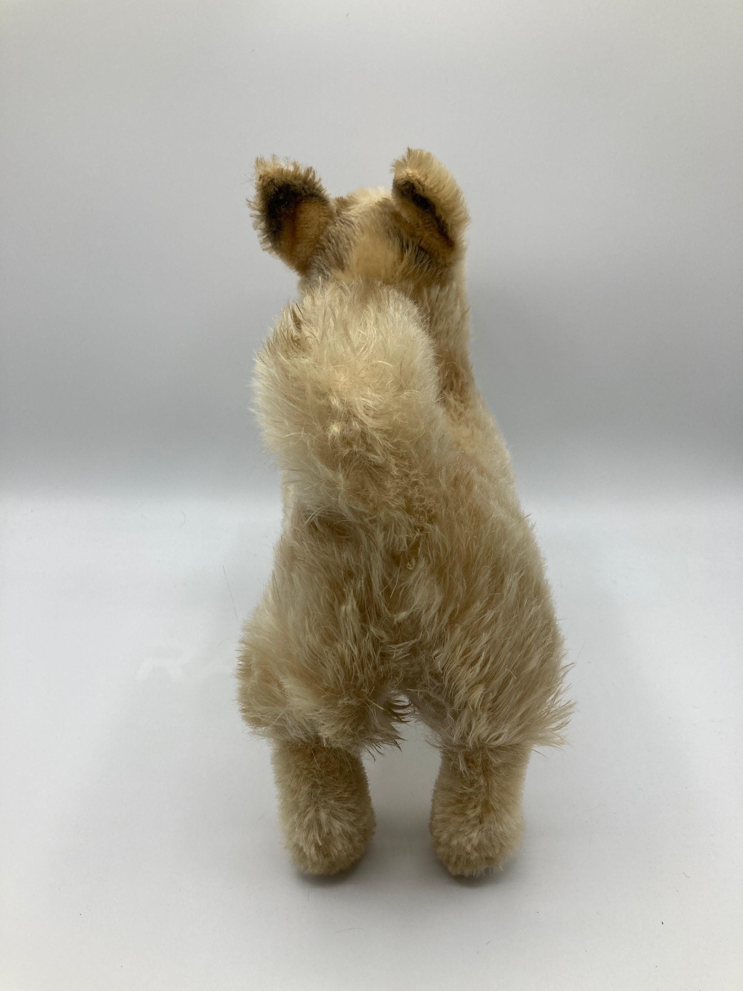 Steiff Largest And Incredibly Rare Mohair Laika the Space Dog | My