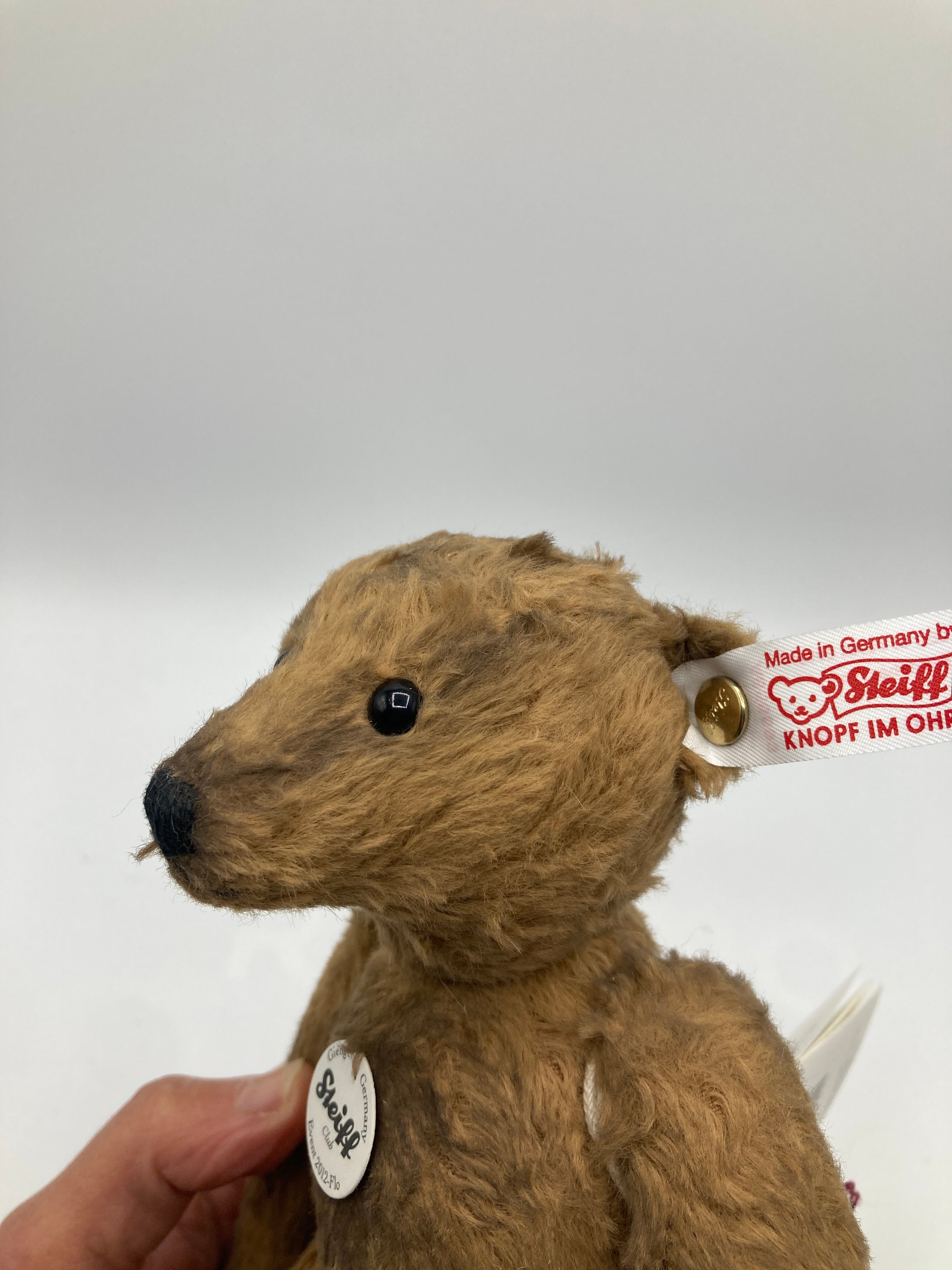 Steiff 2012 Flo Brown Special Event Teddy Bear With All IDs | My Site