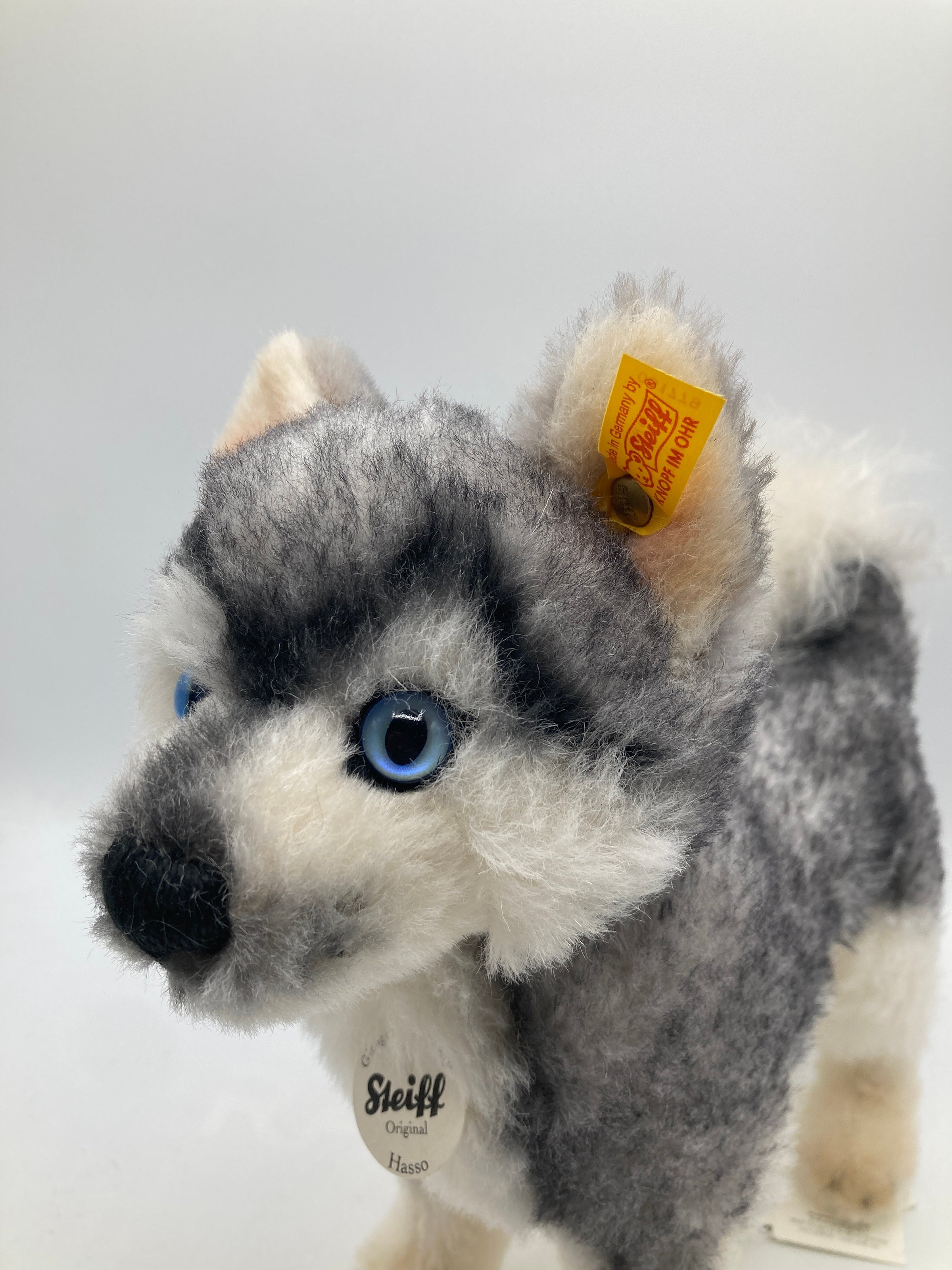 Steiff Hasso Husky Alpaca Dog with All IDs | My Site