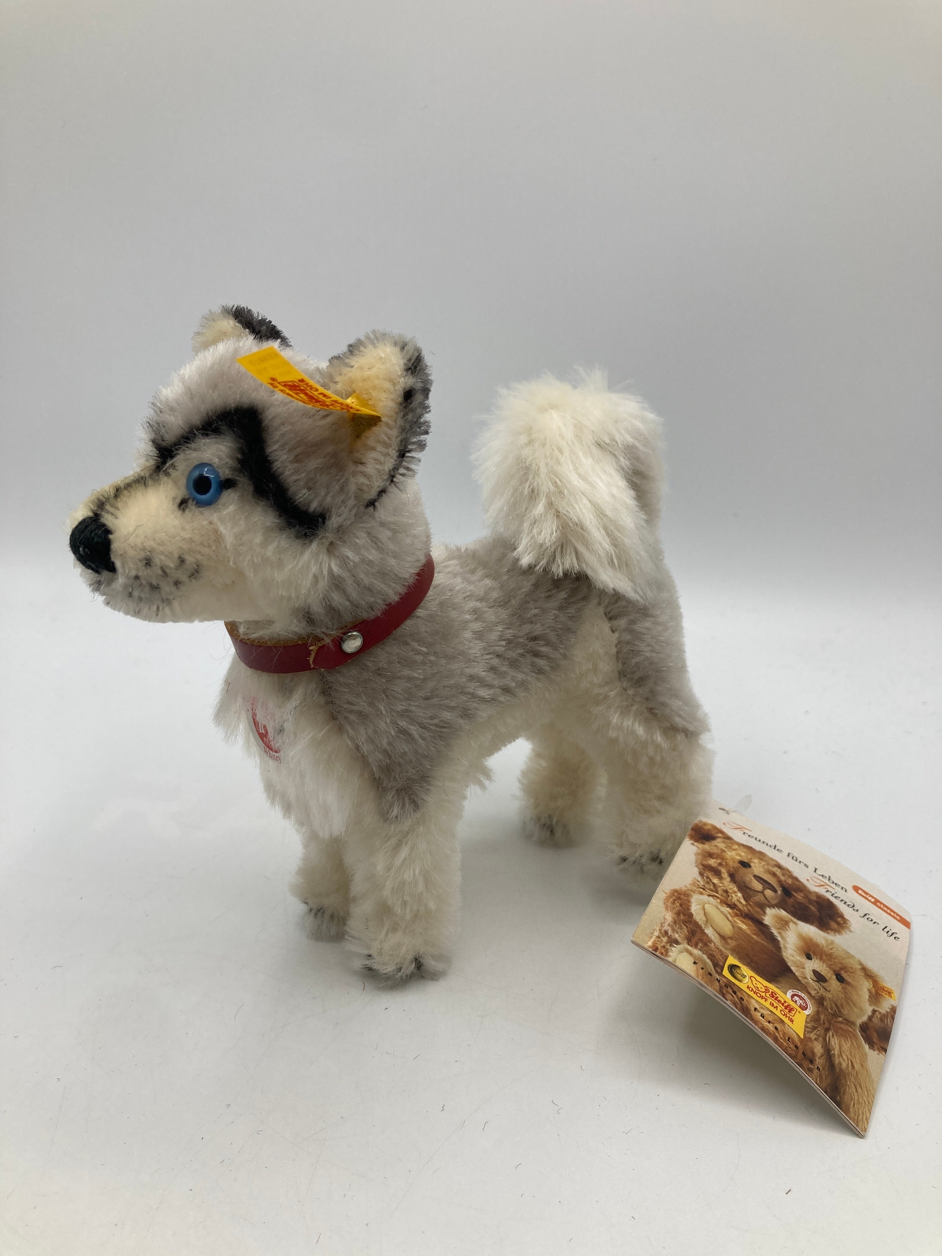 Steiff Mohair White and Grey Whitey Husky Dog with All IDs | My Site