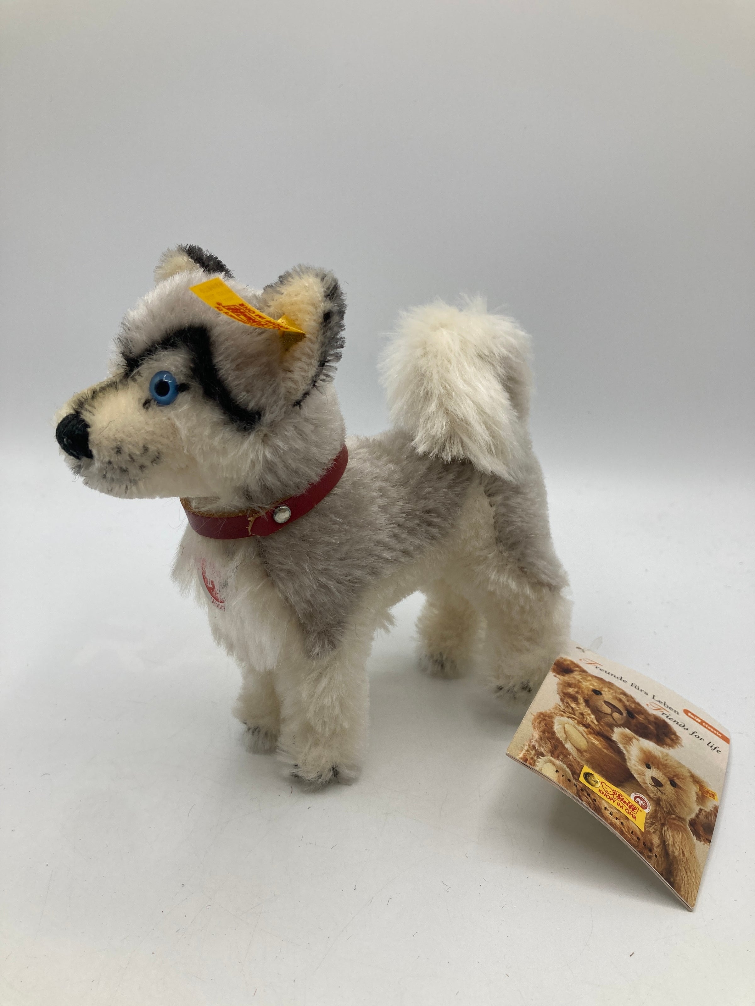 Steiff Mohair White and Grey Whitey Husky Dog with All IDs | My Site