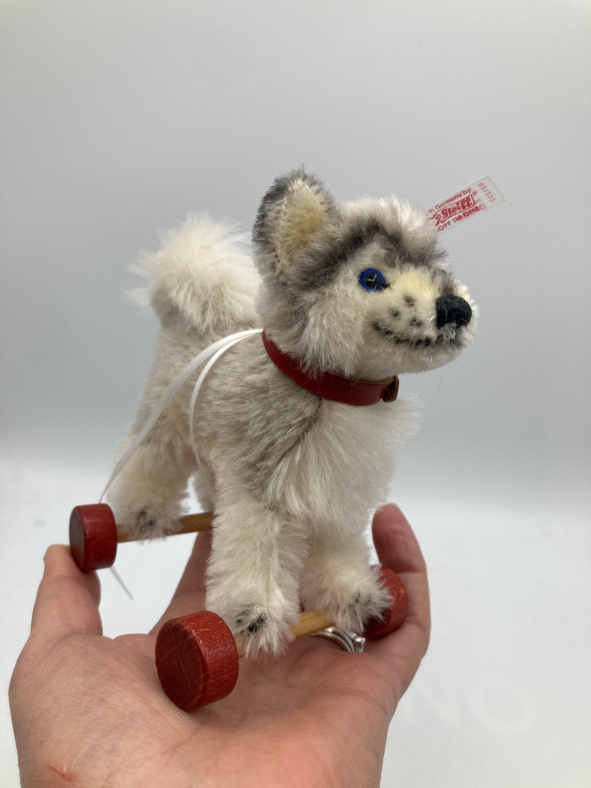 Steiff Mohair Baby Husky Dog On Wheels Ornament With All IDs | My Site