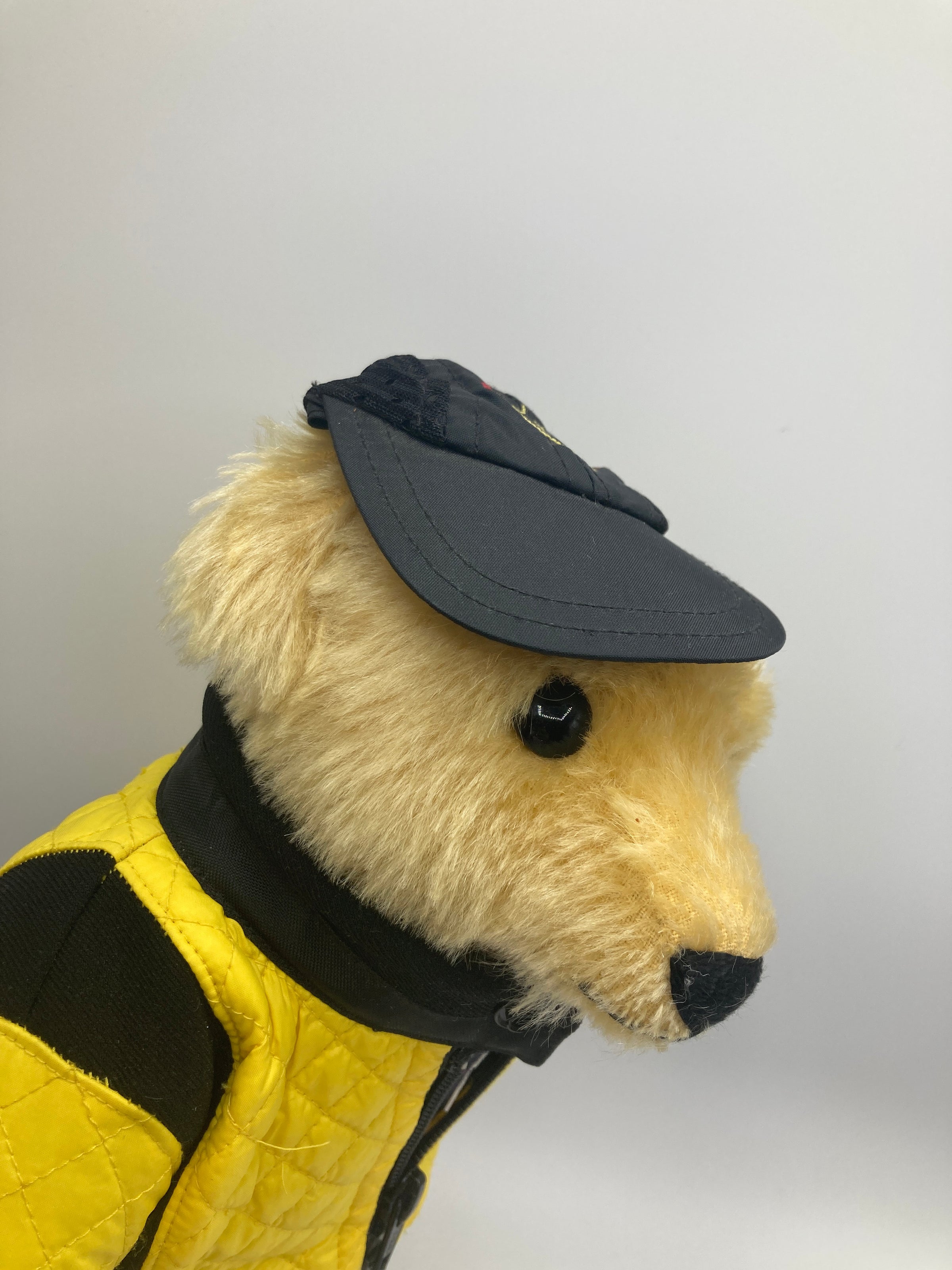 Steiff Ralph Lauren Racer Teddy Bear With All IDs | My Site