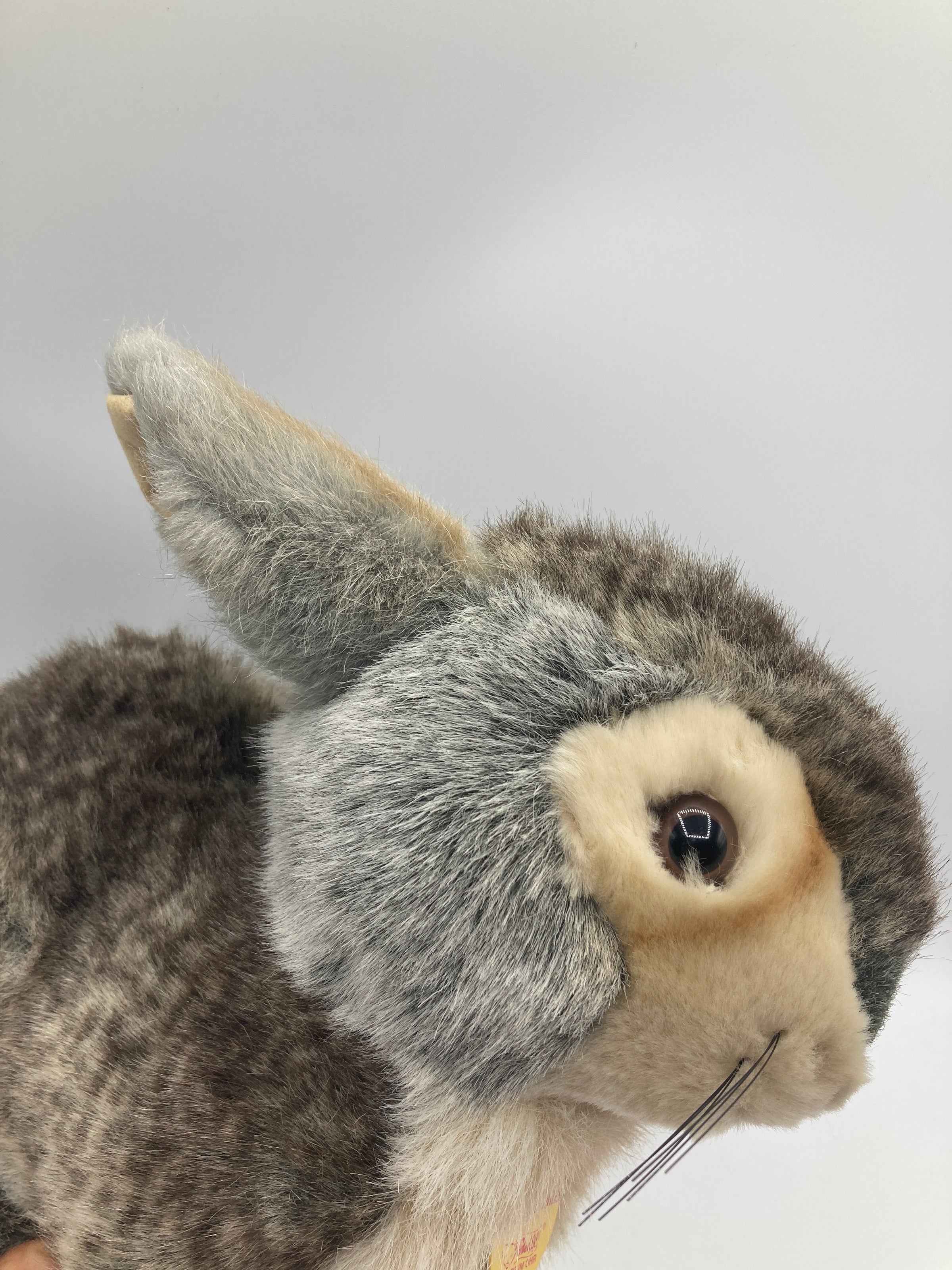 Steiff Dossy Sitting Plush Rabbit With All IDs | My Site