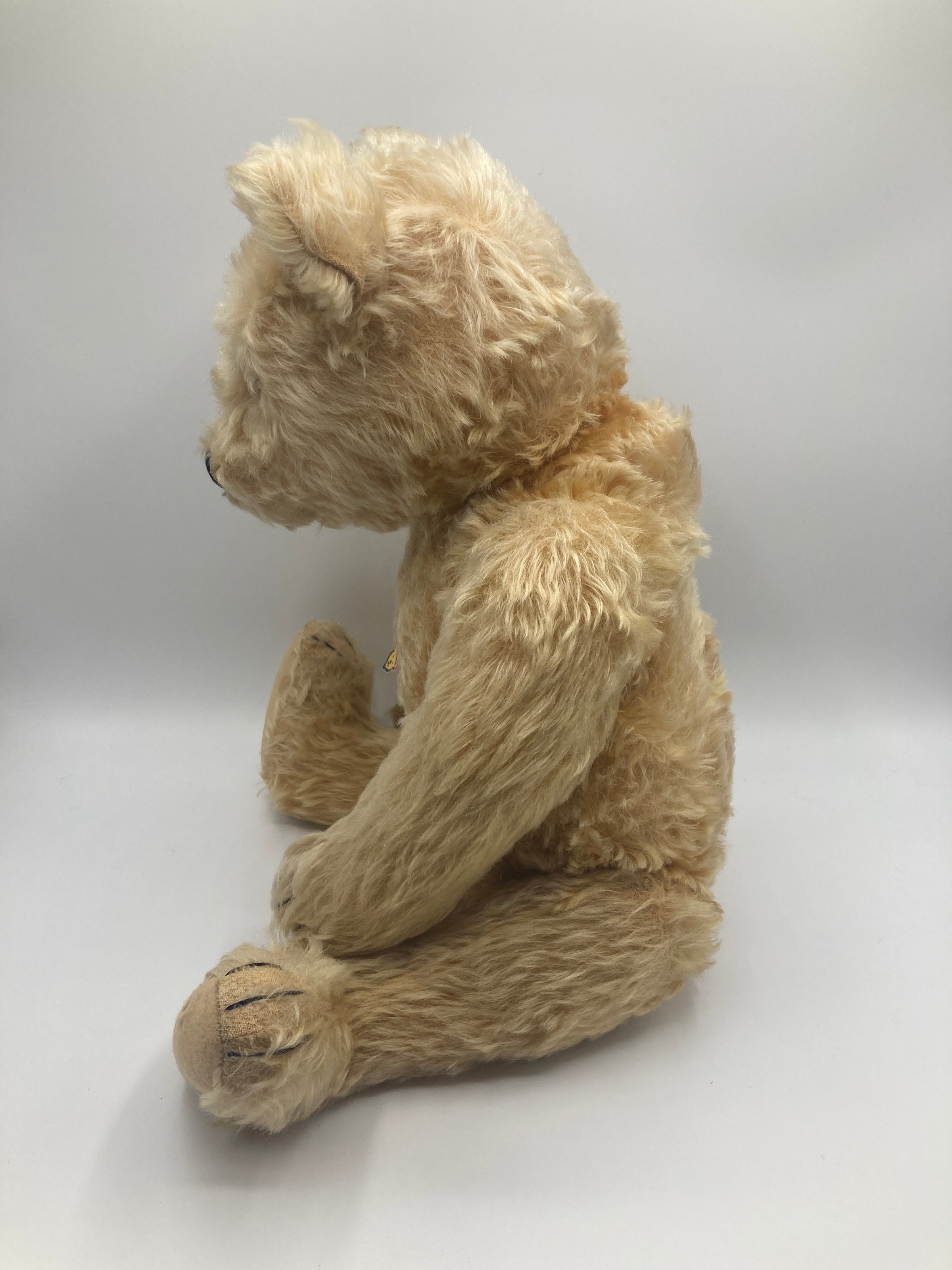 Steiff Large Blonde Midcentury Original Teddy Bear With ID | My Site