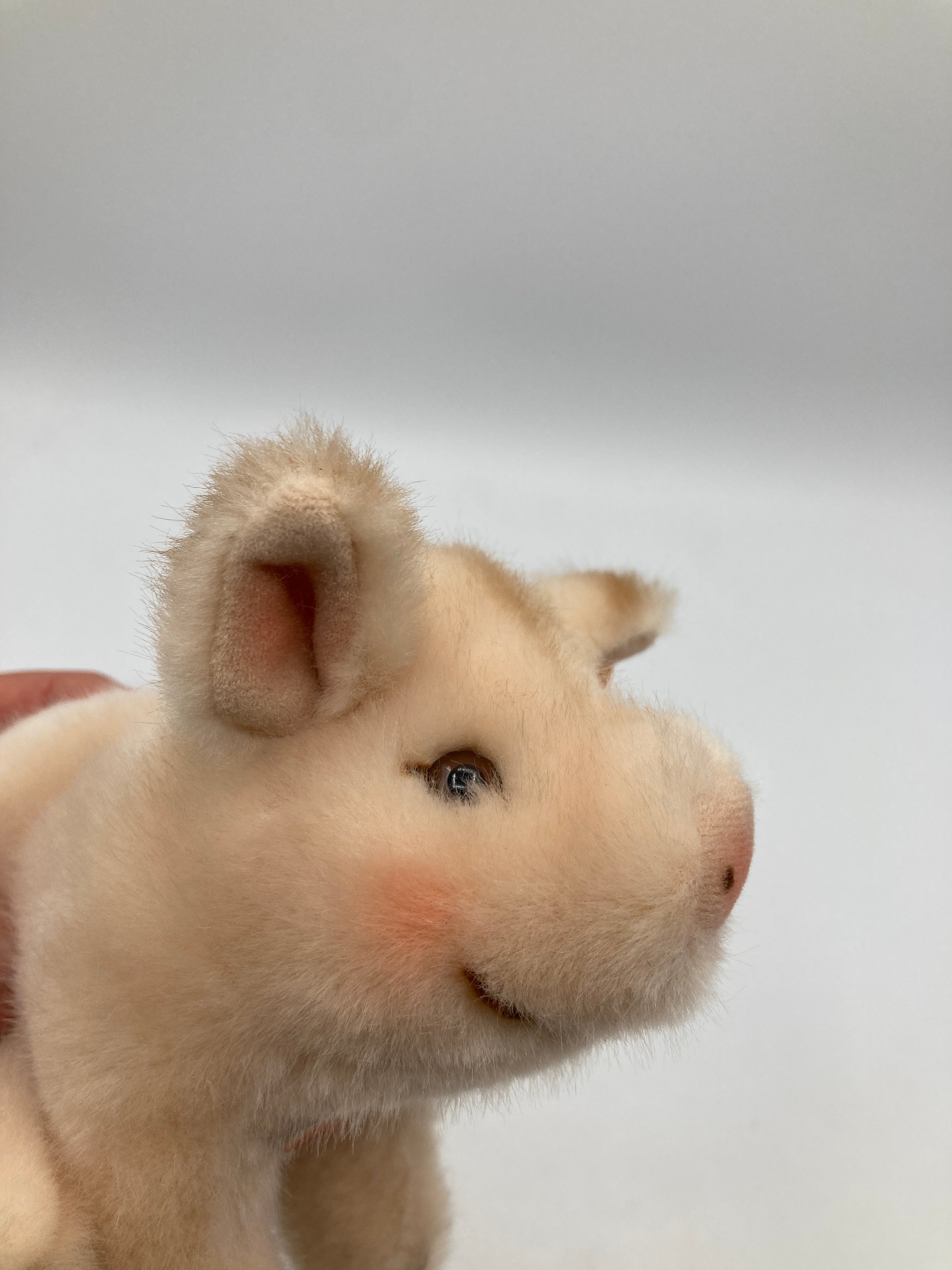 Steiff Pink Plush Sitting Baby Pig With All IDs | My Site