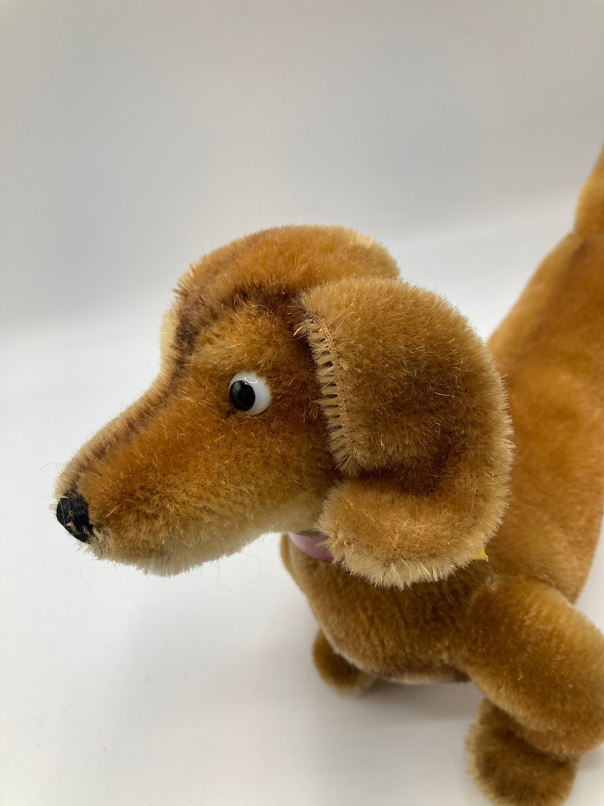 Steiff Medium Sized Hexie Dachshund With All IDs | My Site
