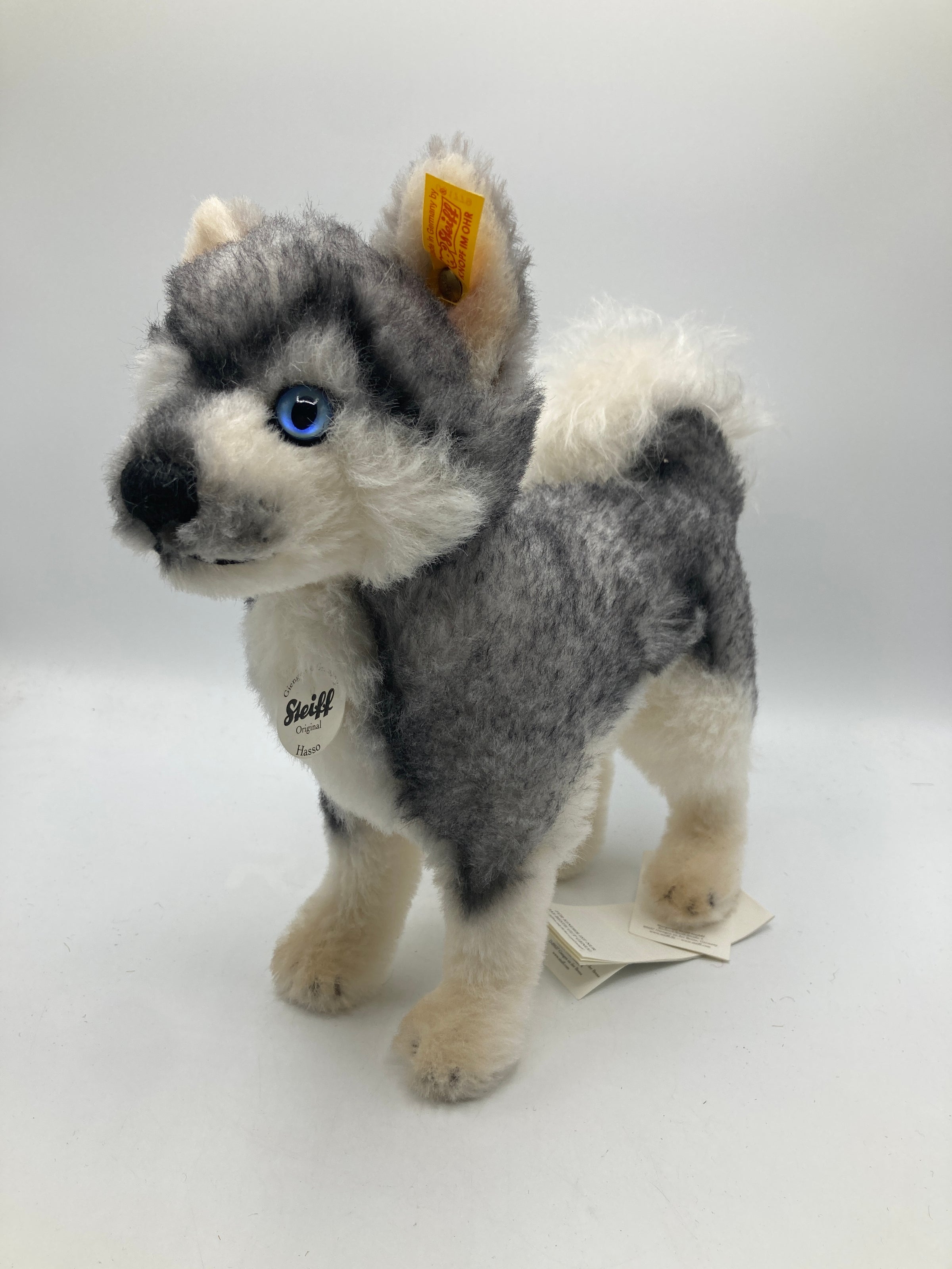 Steiff Hasso Husky Alpaca Dog with All IDs | My Site