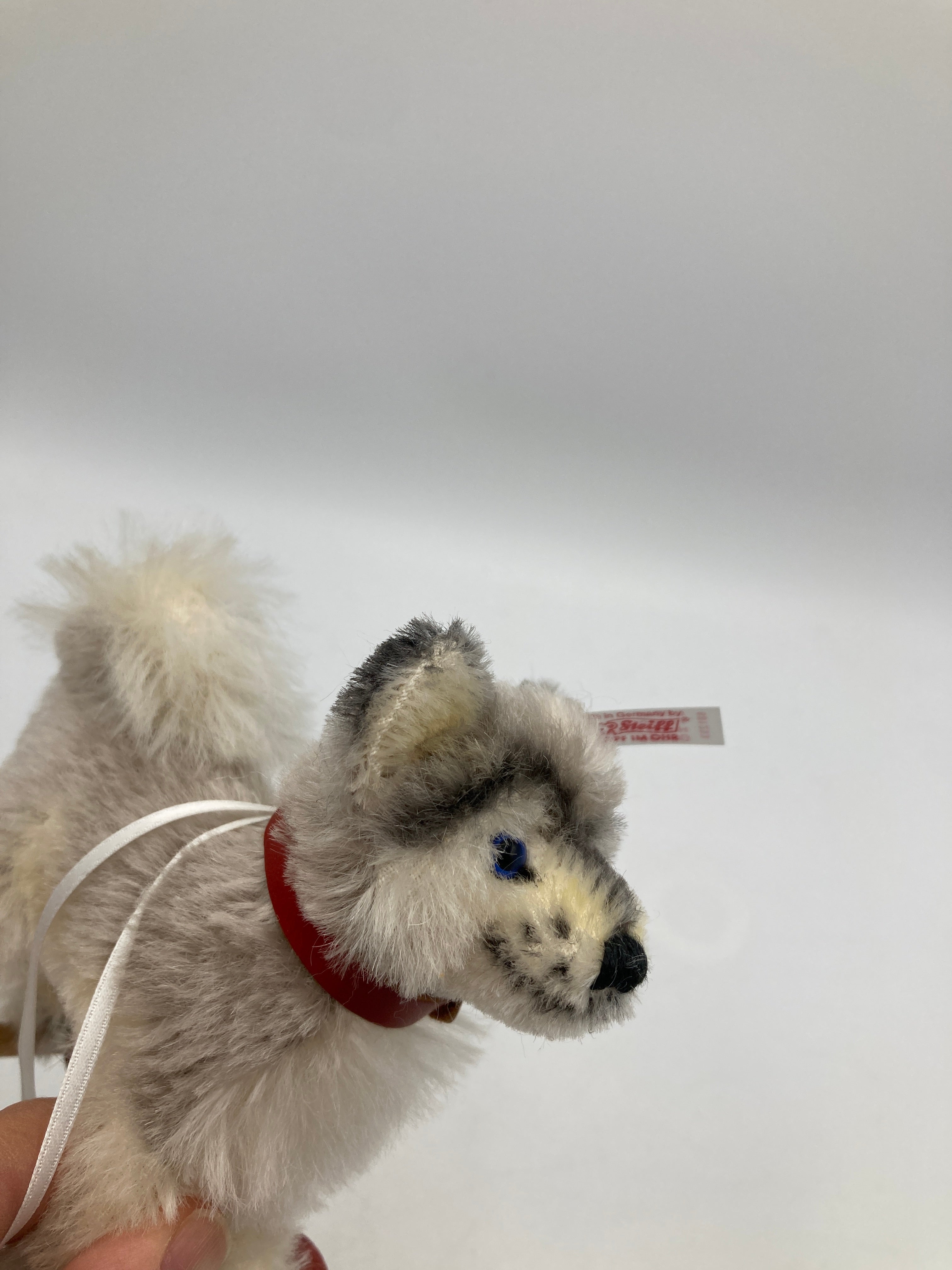 Steiff Mohair Baby Husky Dog On Wheels Ornament With All IDs | My Site