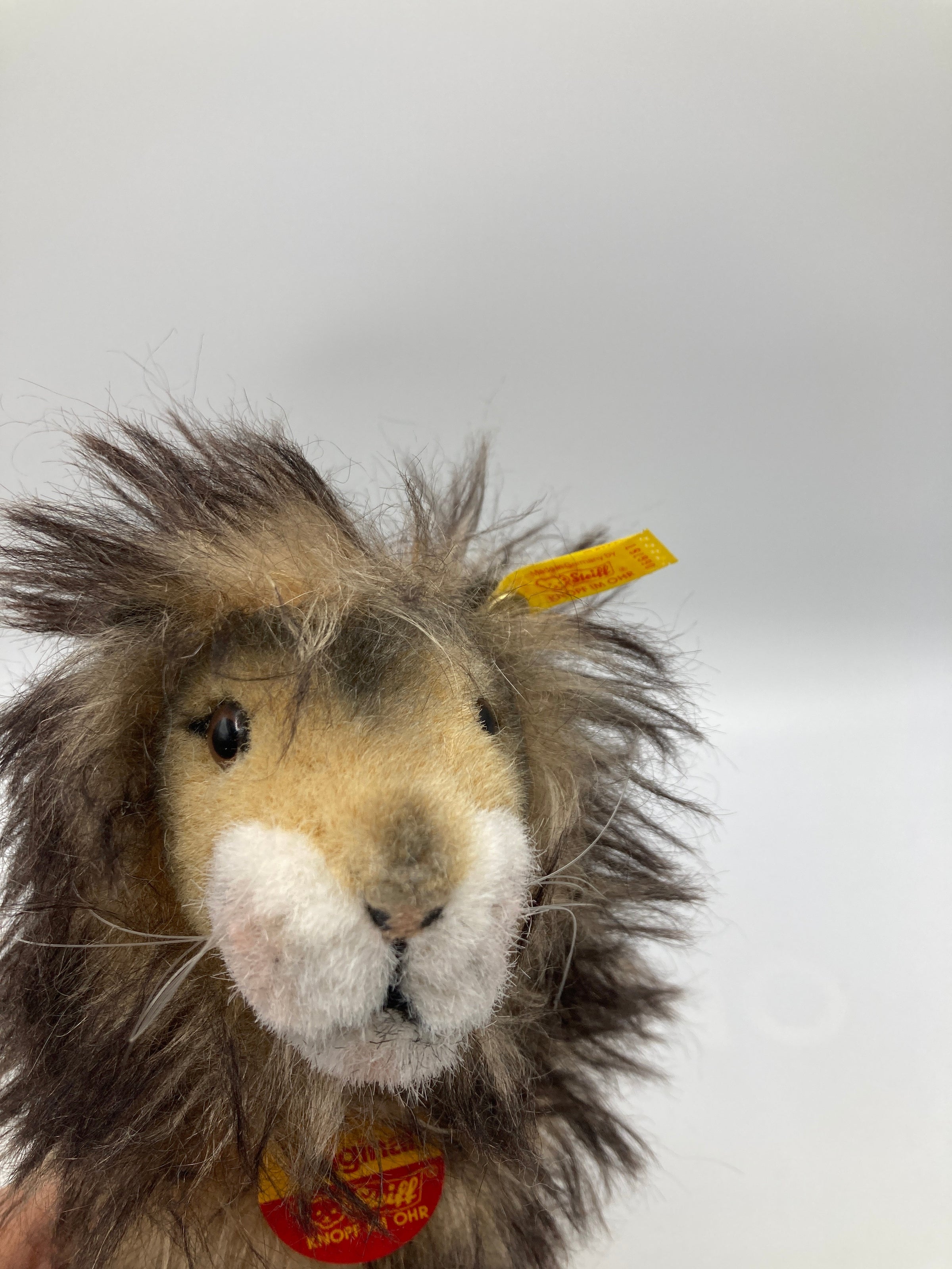 Steiff Standing Leo Lion With All IDs | My Site