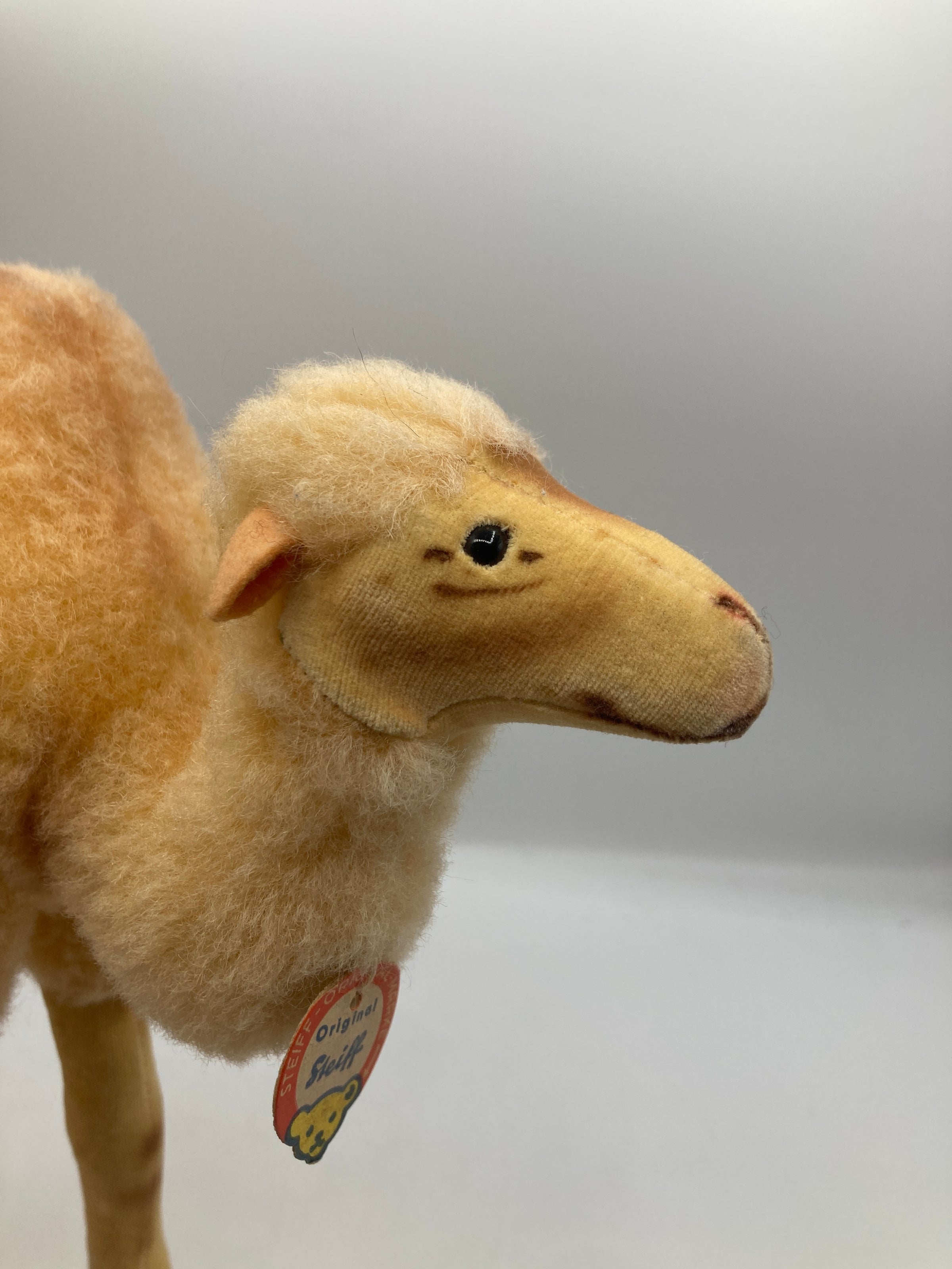 Steiff キャメル ぬいぐるみ 中型 Steiff Almost Largest Wool Plush and Velvet Camel With All IDs