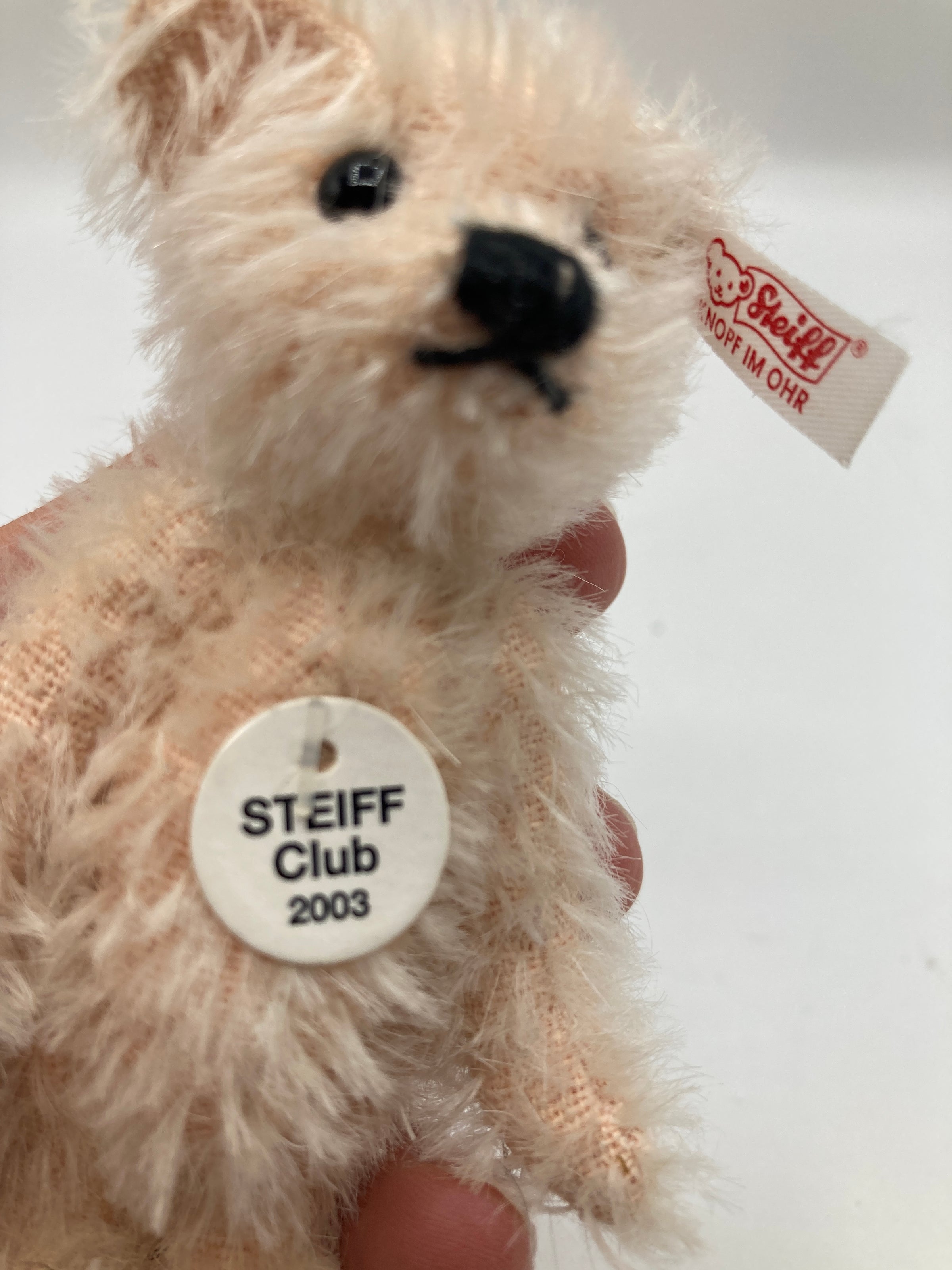 Steiff Fully Jointed Tiny 2003 Steiff Club Bear With All IDs | My Site