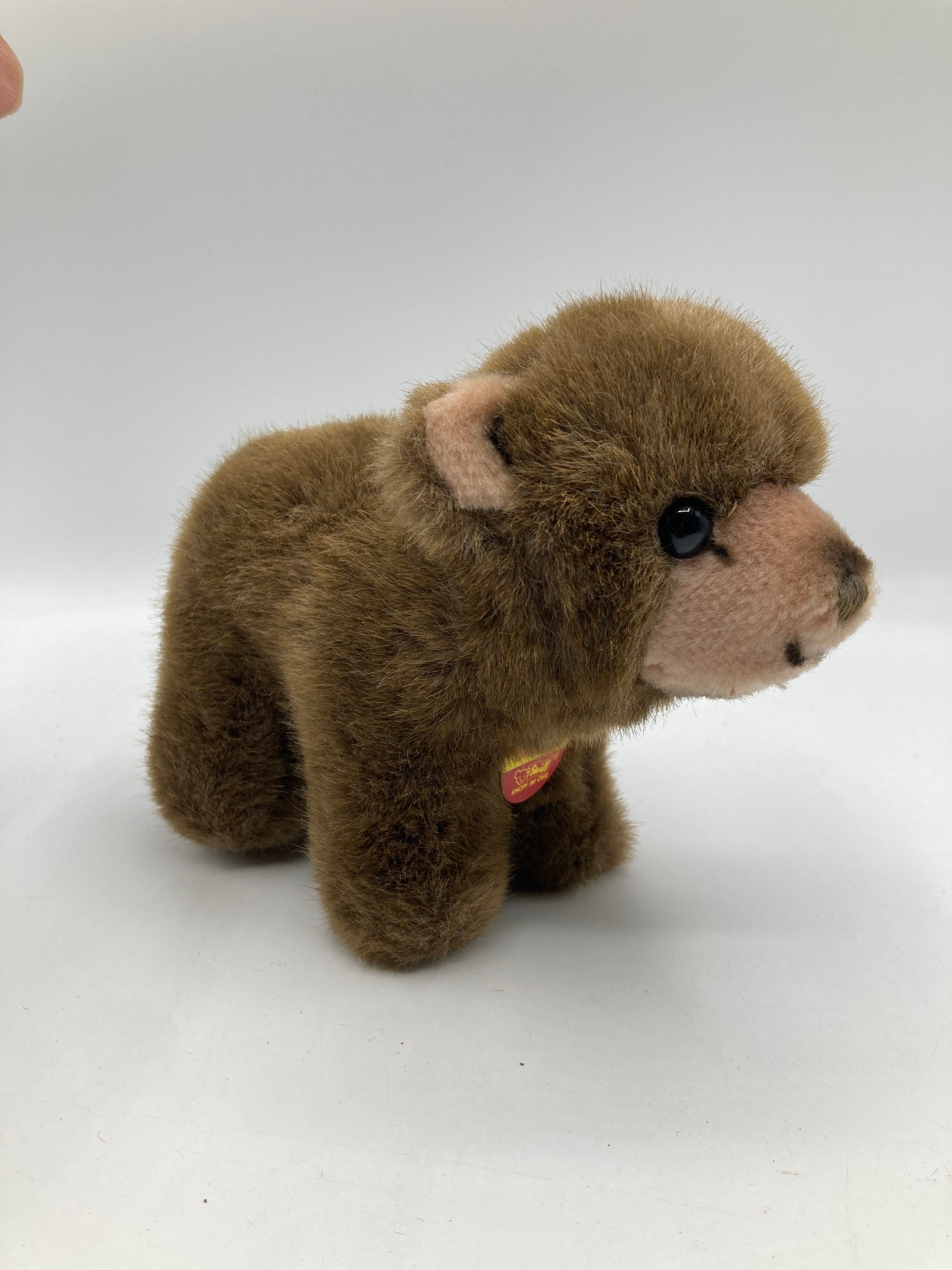 Steiff Standing Soft Plush Browny Bear With All IDs | My Site