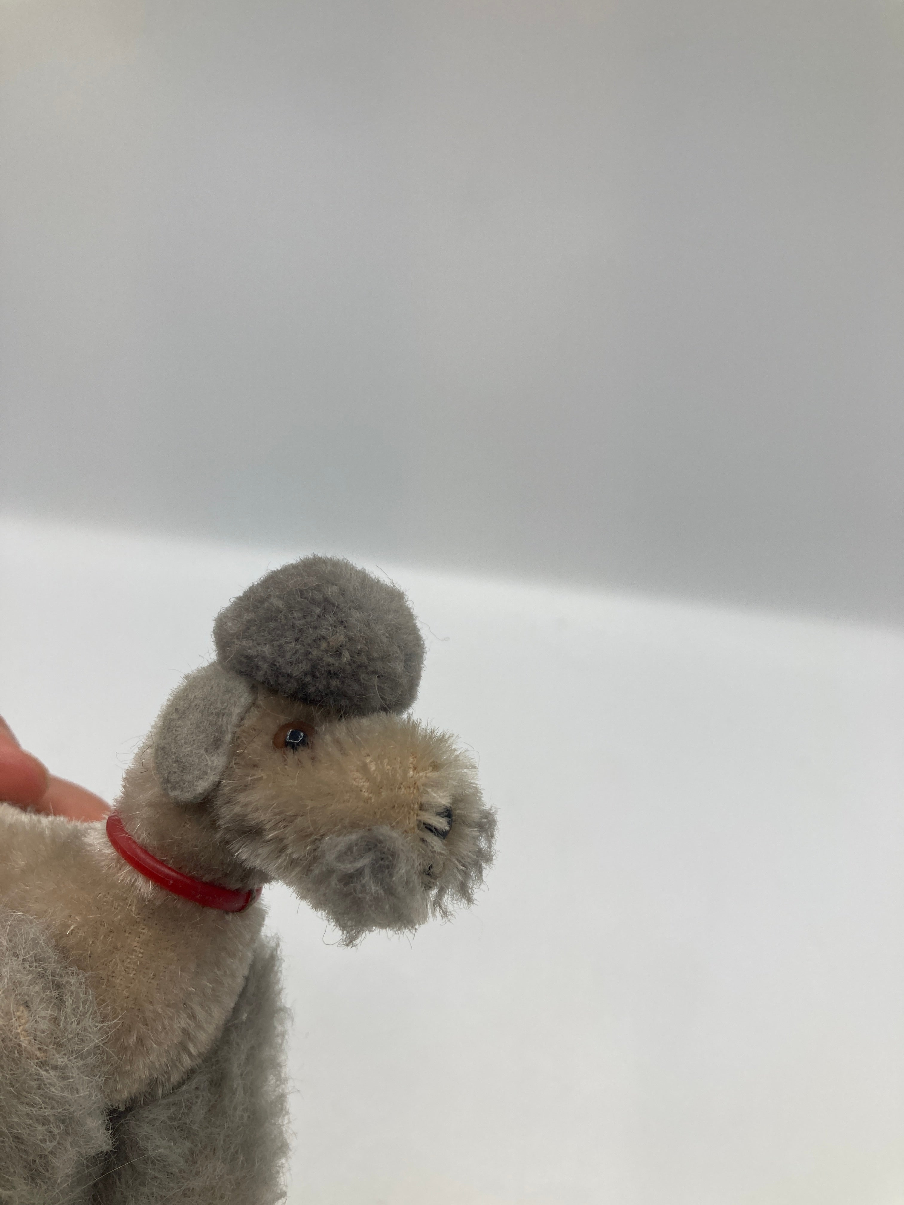 Steiff Small Jointed Grey Snobby Poodle With All IDs | My Site
