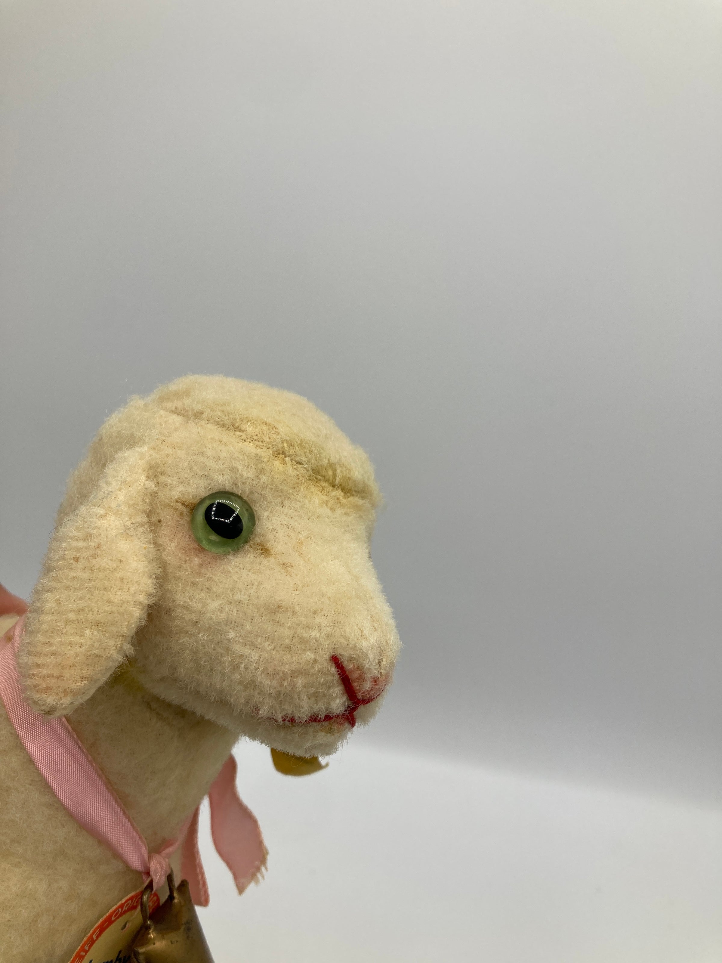 Steiff Medium Lamby Lamb With All IDs | My Site