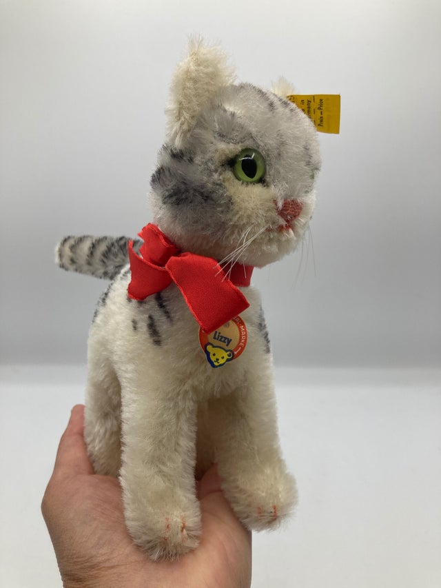 Cats | My Site