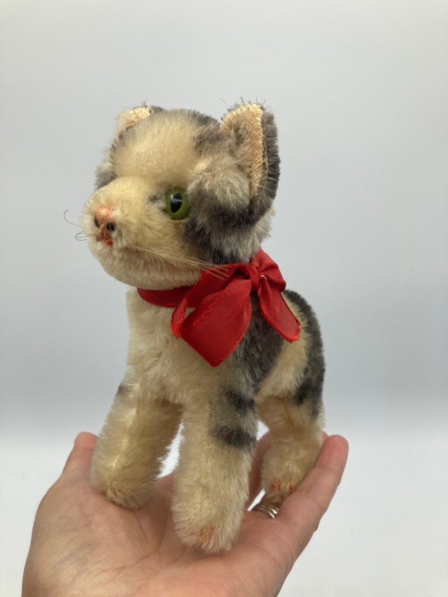 Cats | My Site