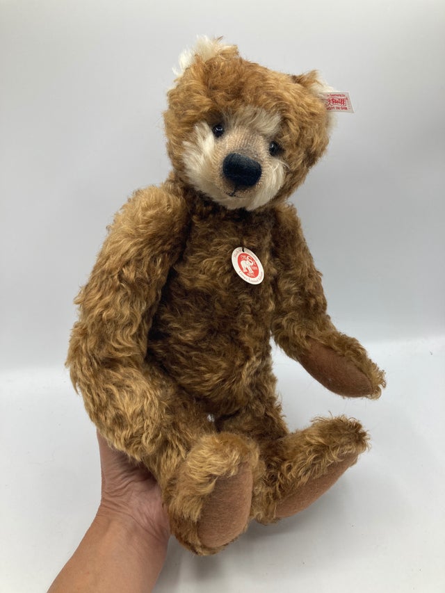Bears | My Site