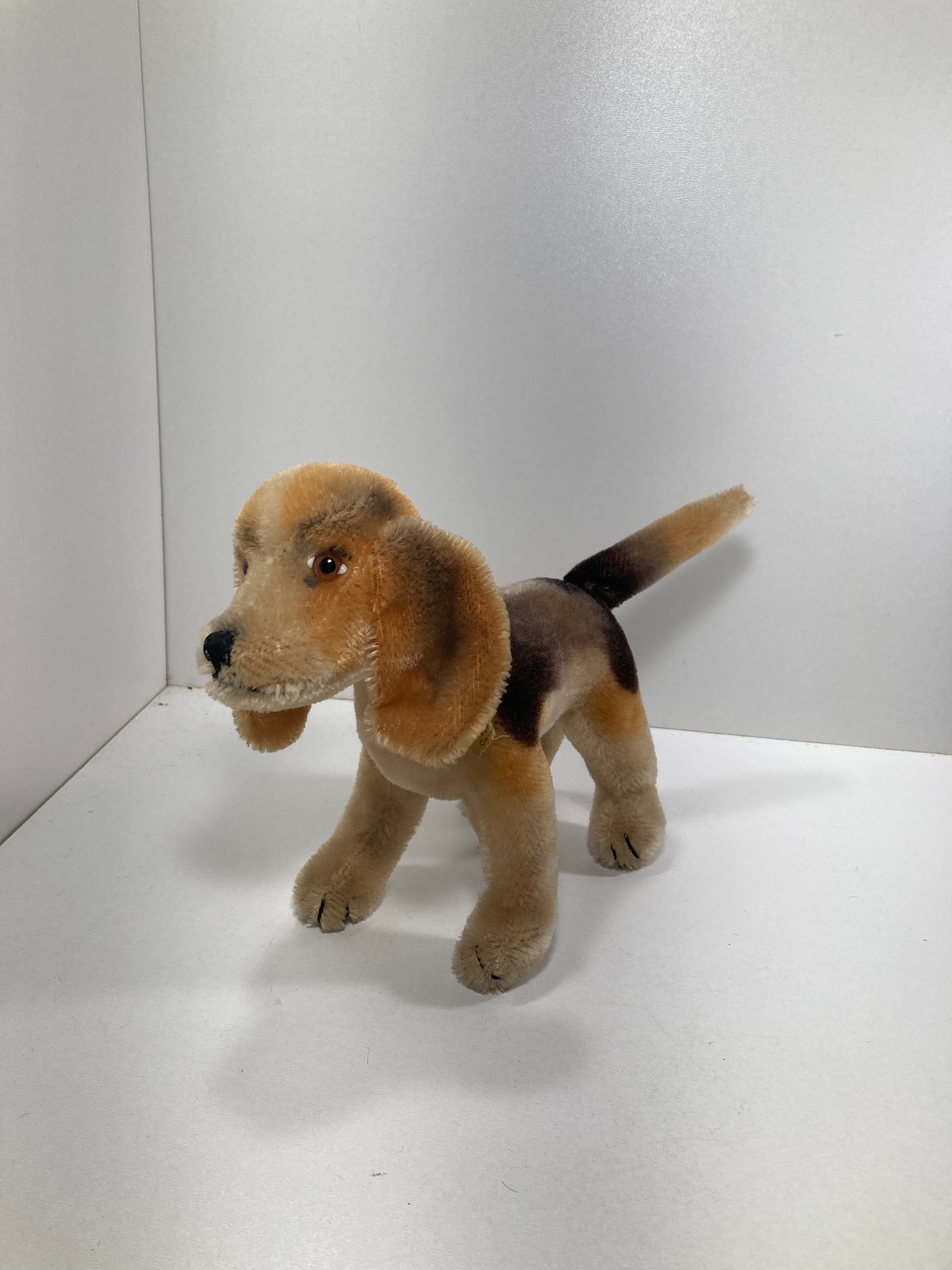 1500体限定】Steiff ビーグル Biggie Beagle 2013 ❤️STEIFF BIGGIE