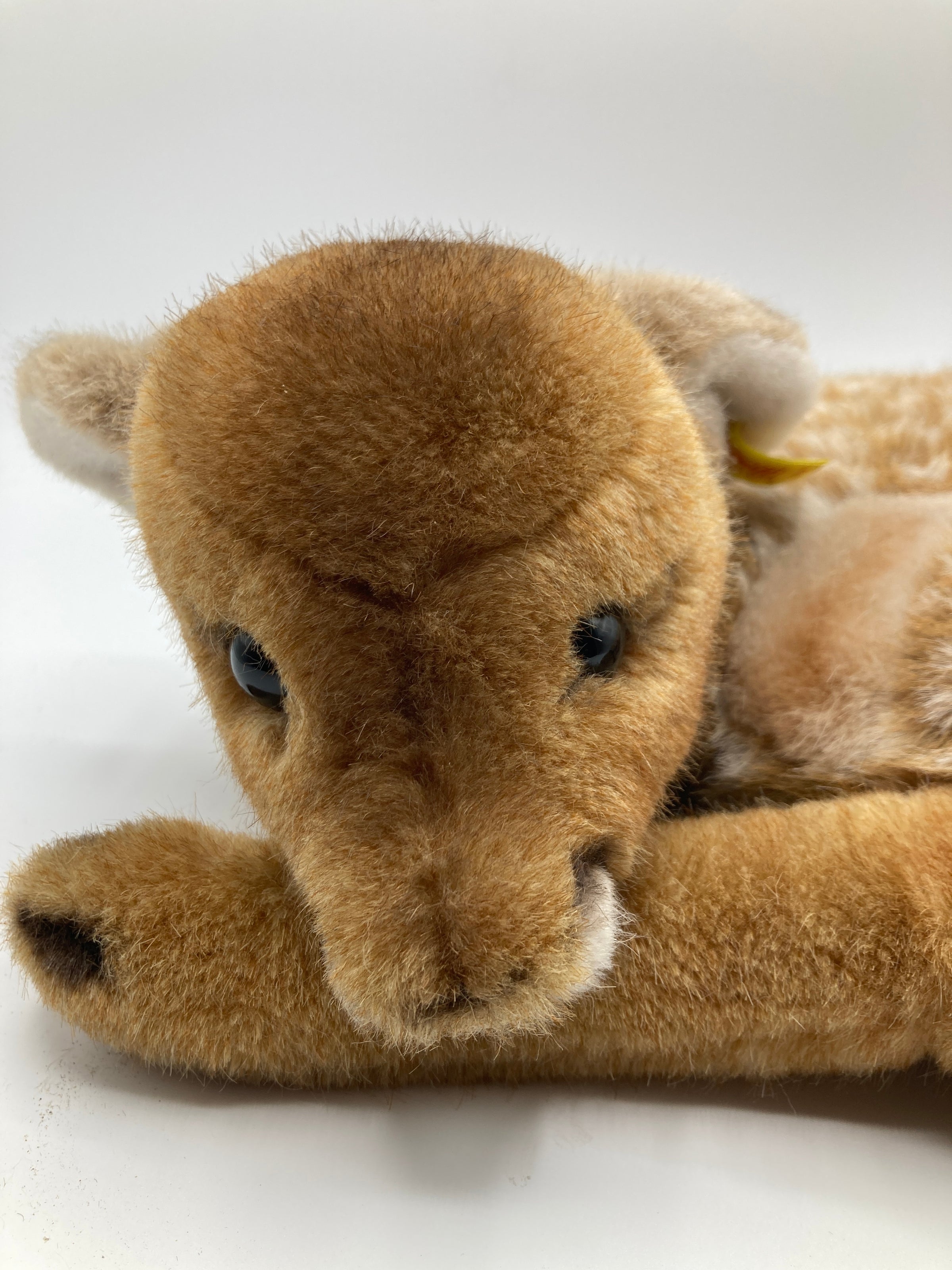 Steiff's Soft Plush Curled Up Lorli Fawn With IDs | My Site