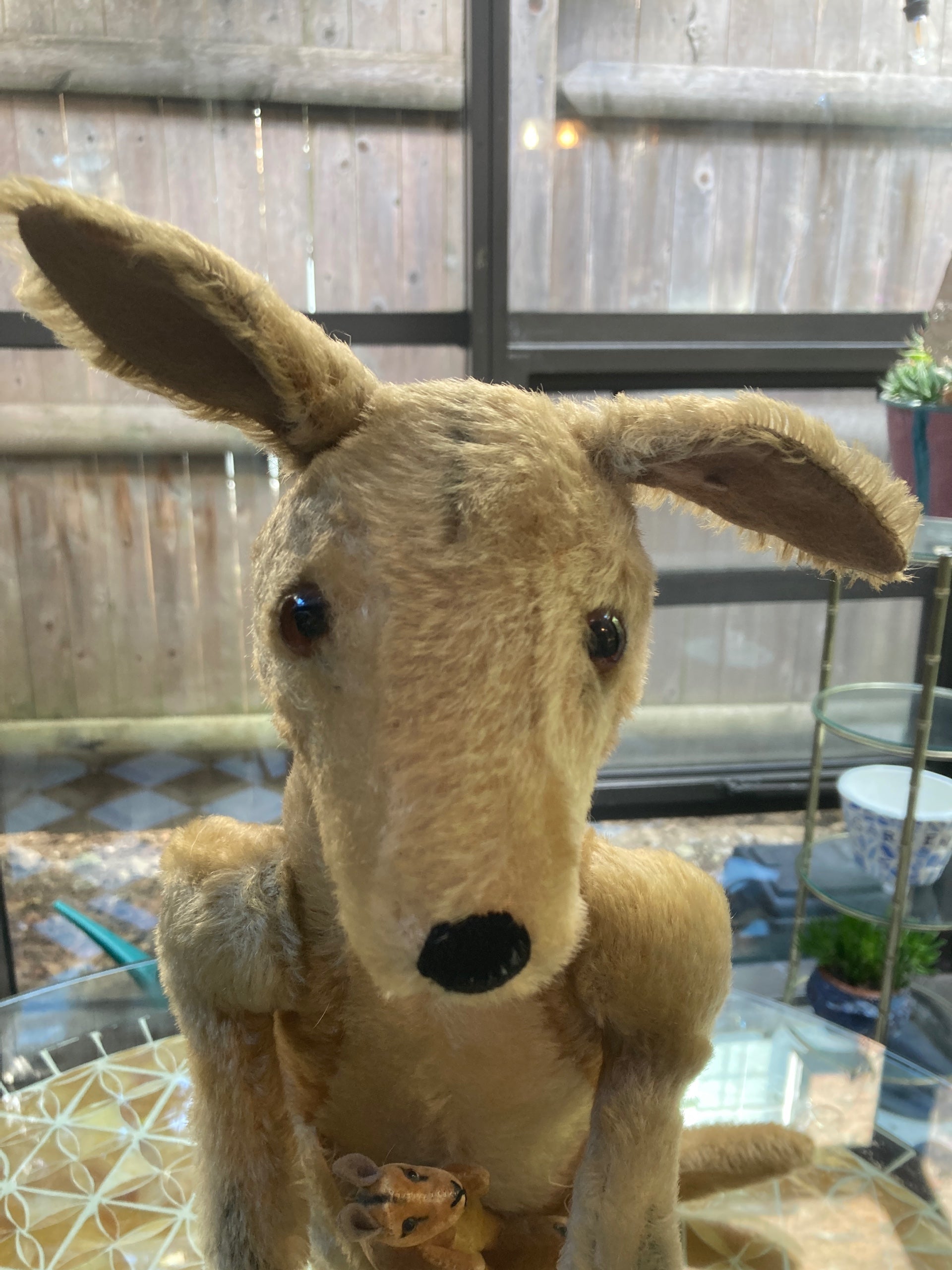Steiff Almost Largest Sized Kangaroo With Joey | My Site