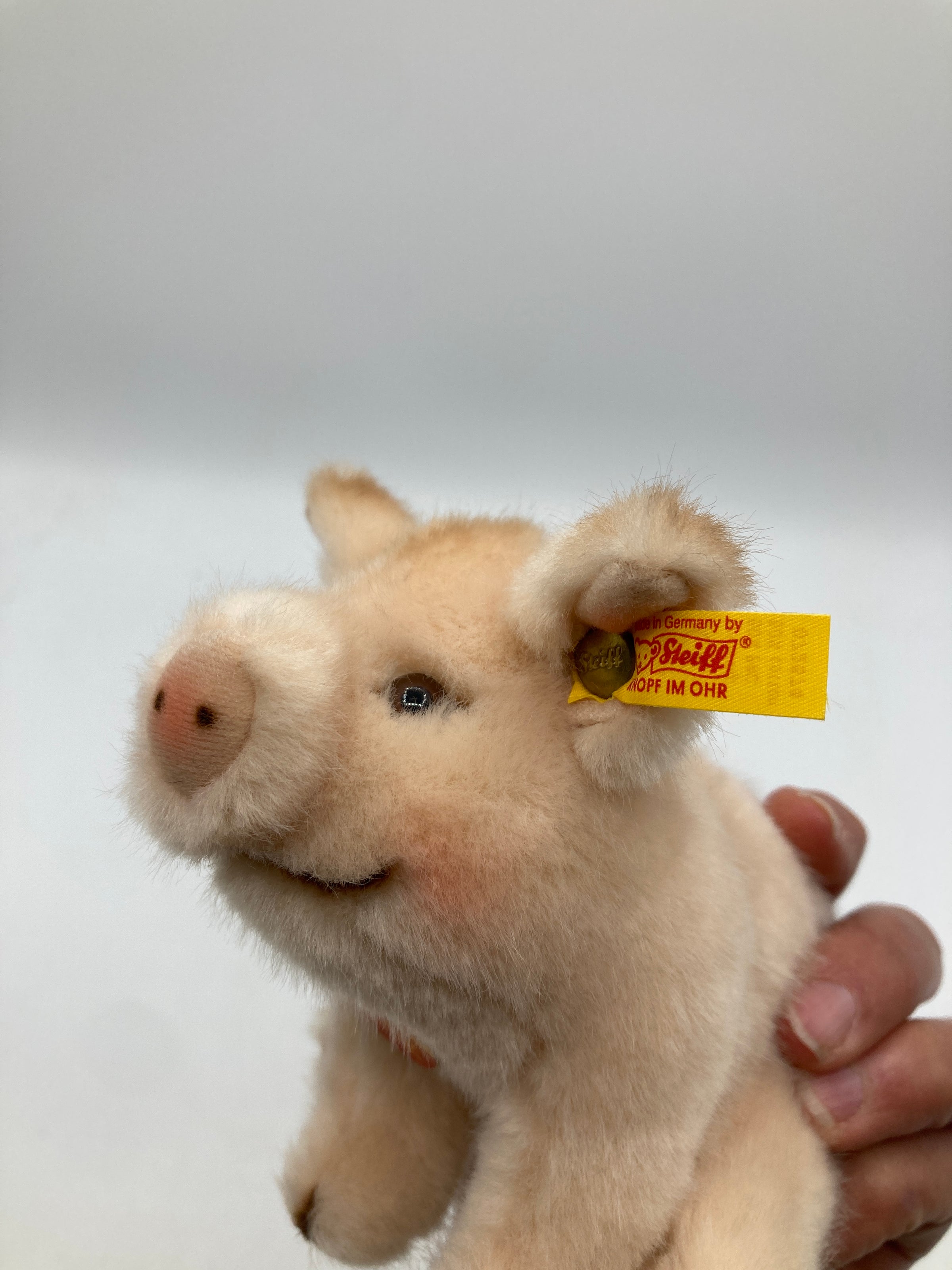 Steiff Pink Plush Sitting Baby Pig With All IDs | My Site
