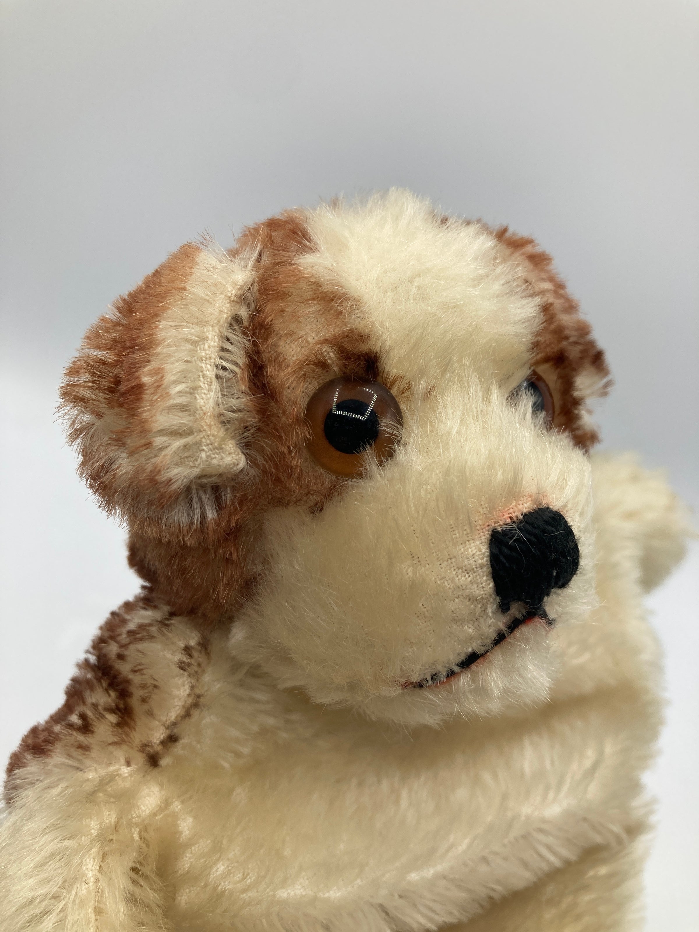 Steiff Early Postwar Molly the Puppy Dog Hand Puppet With IDs | My