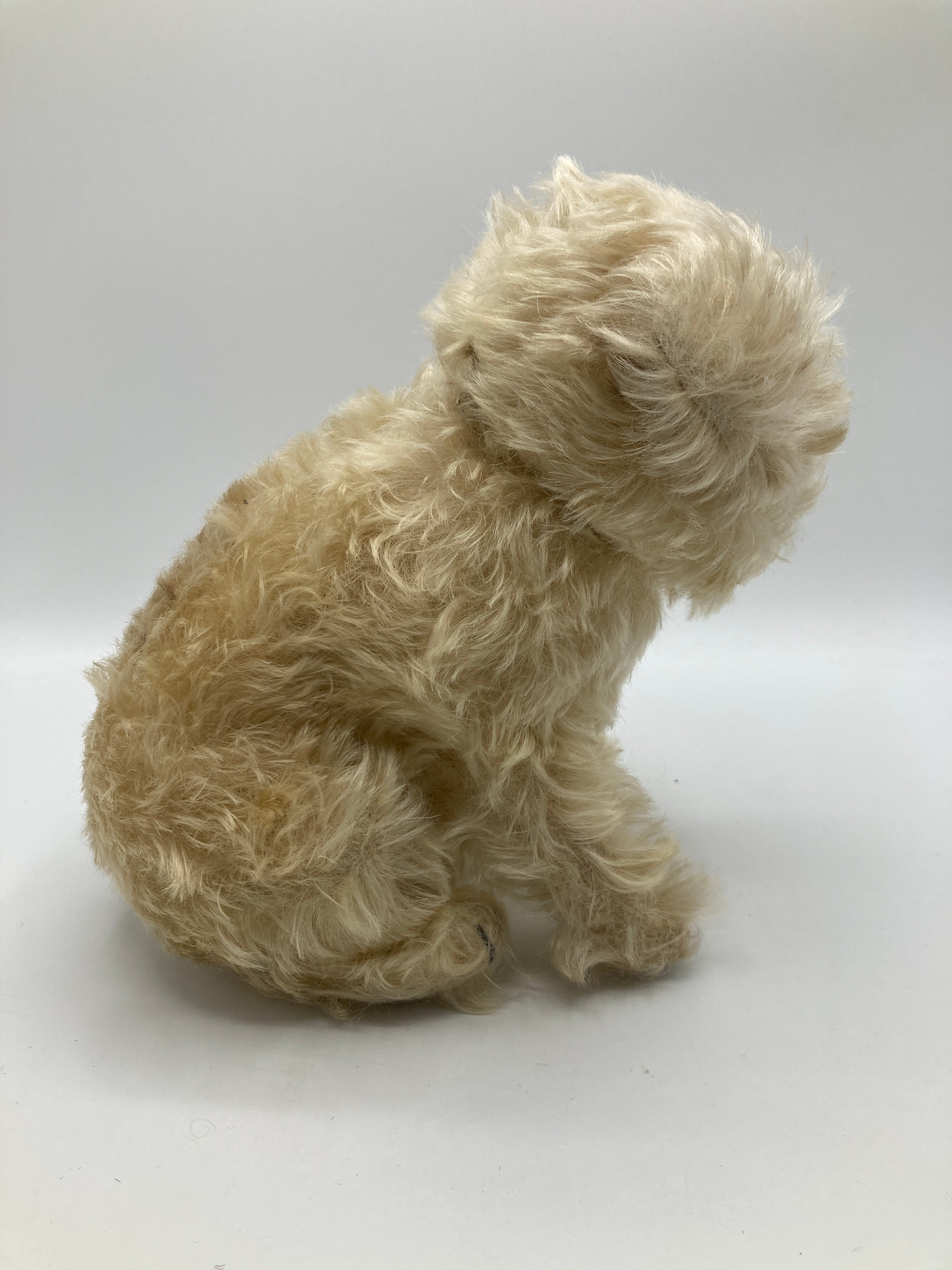 仔犬のMOLLY シュタイフドッグ 15cm ヴィンテージ