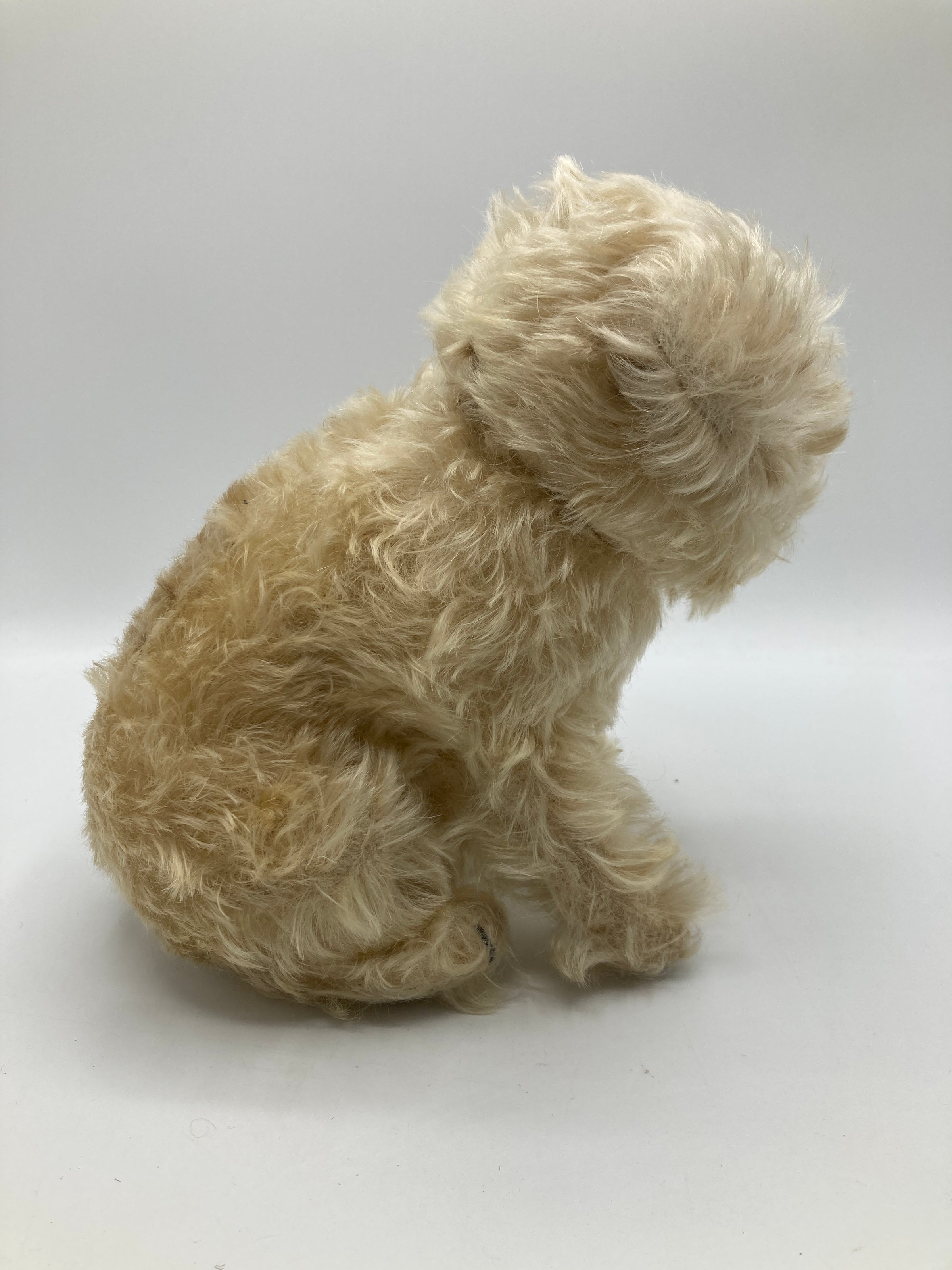 Steiff Prewar Molly The Puppy Dog With IDs | My Site