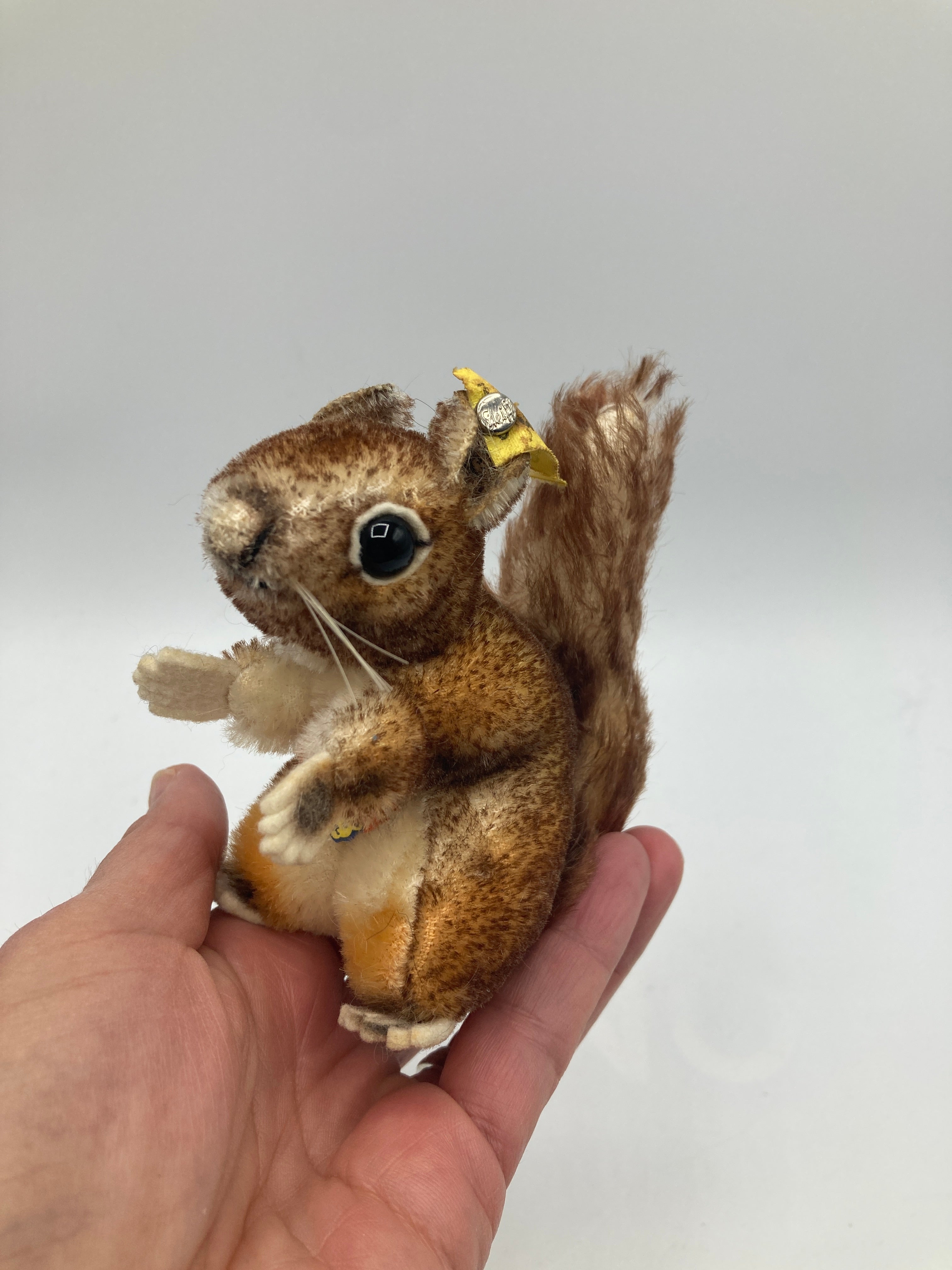 Steiff Smallest Perri the Squirrel With All IDs | My Site