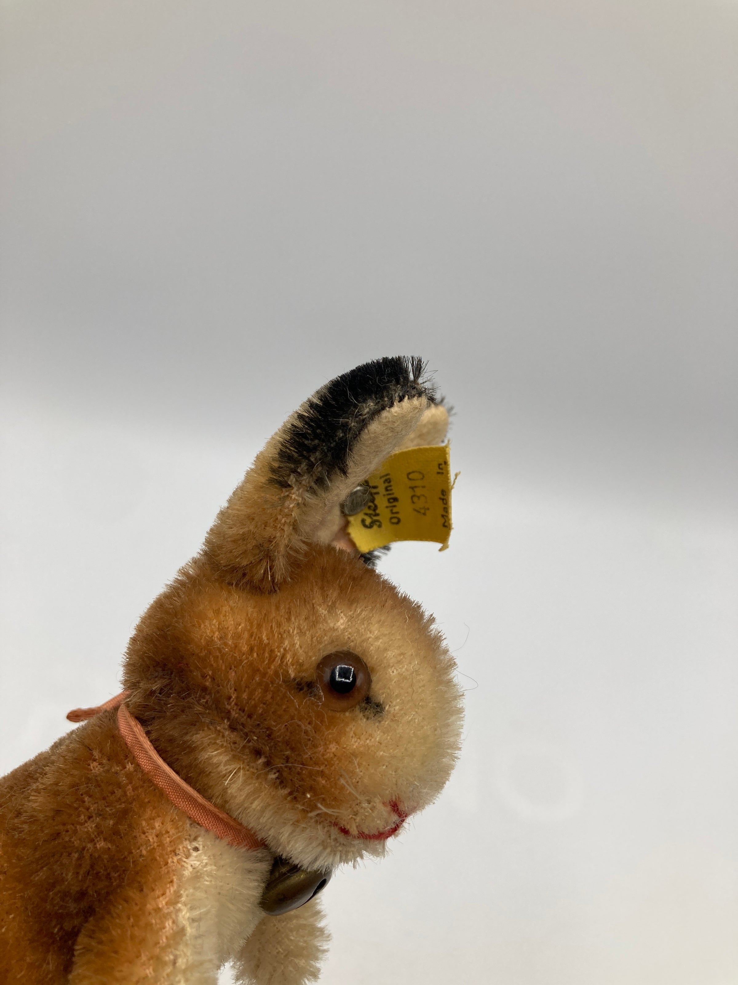 Steiff 　ウサギのManni　最小 Steiff Smallest Mohair Begging Manni Rabbit With IDs | My Site