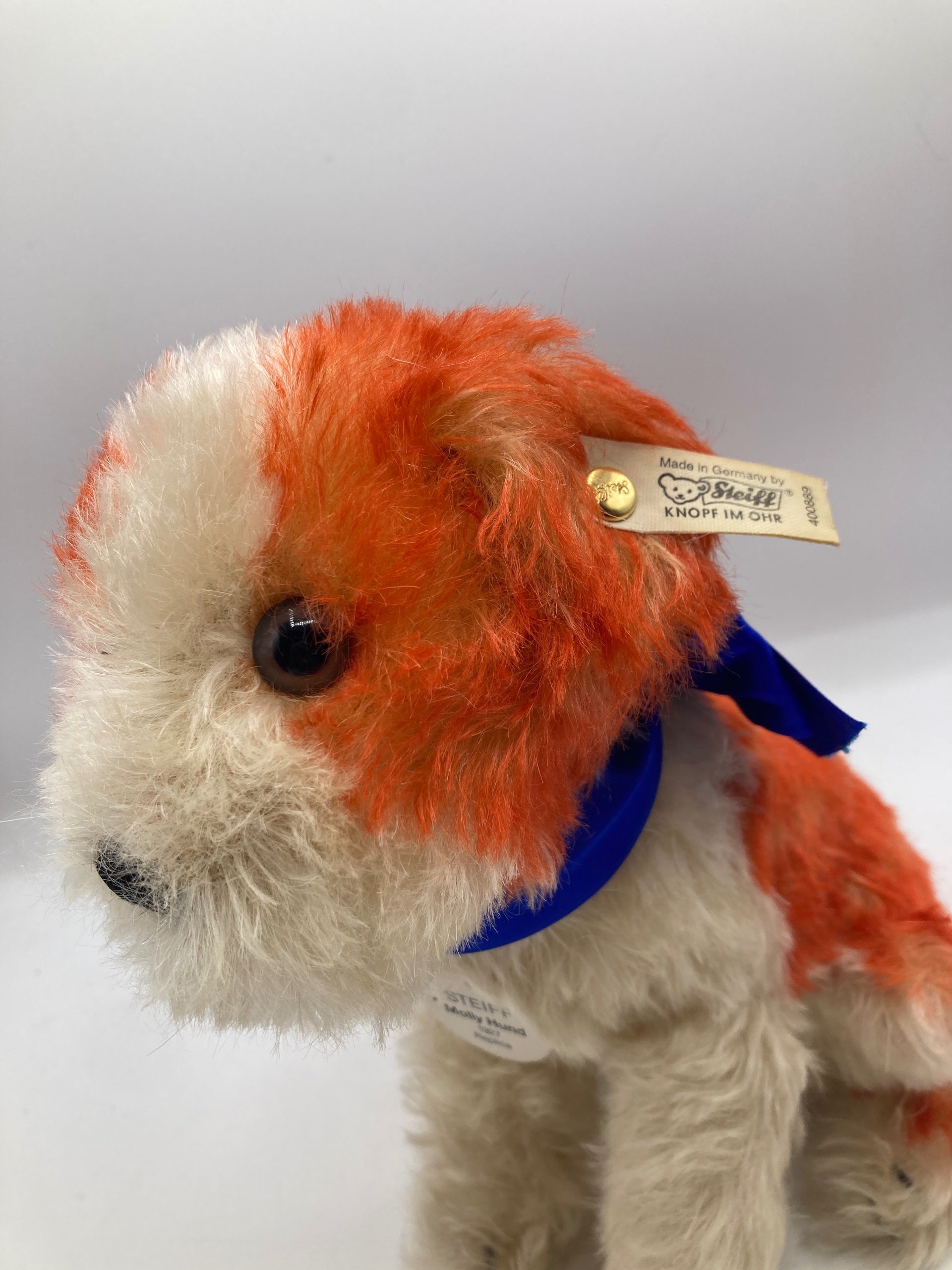 Steiff Mohair Replica 1927 Molly Dog With All IDs | My Site