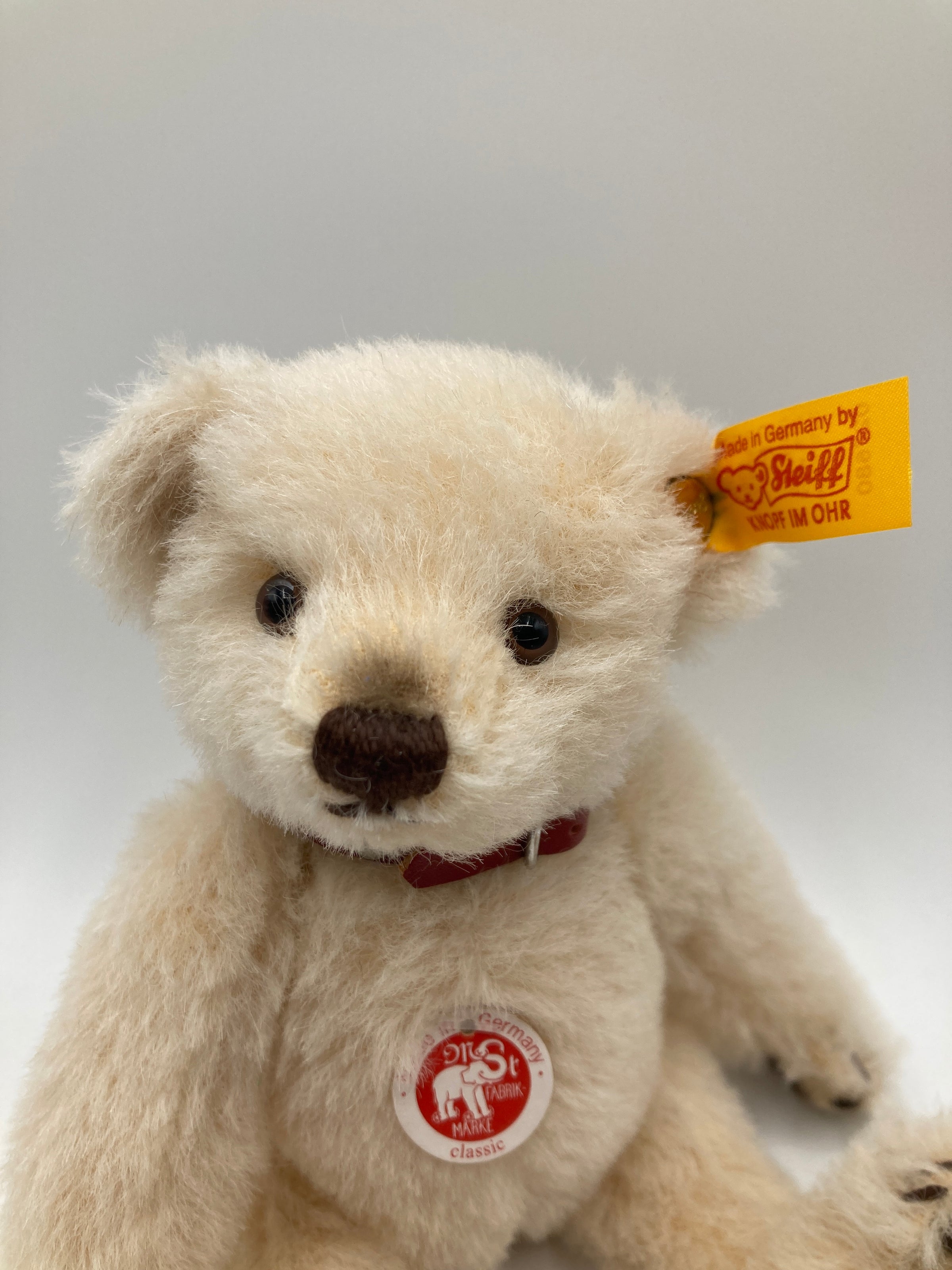 Steiff Cream Alpaca Teddy Bear With All IDs | My Site