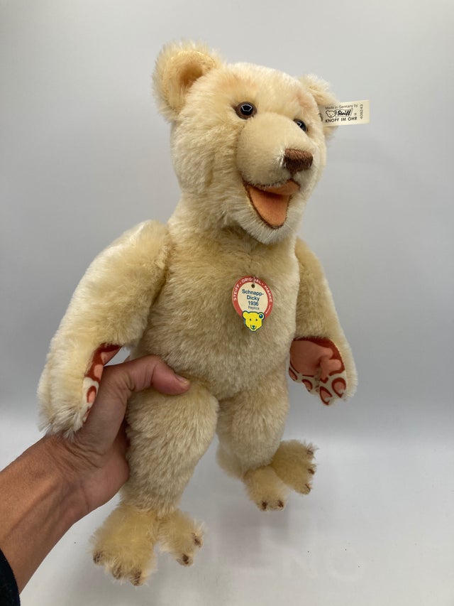 Bears | My Site