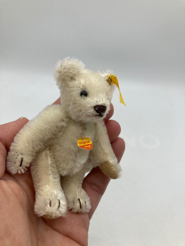 Bears | My Site