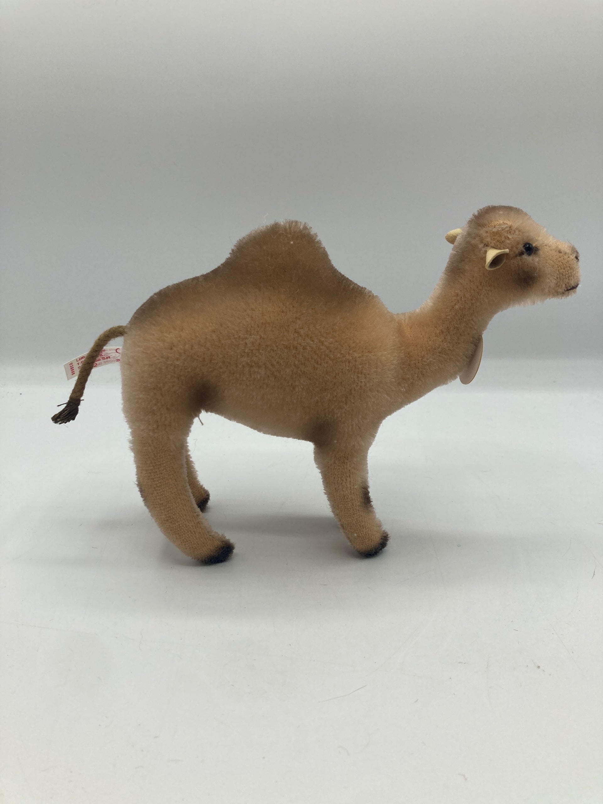 Steiff Mohair Camel With All IDs From The 2006 Zoo Set | My Site