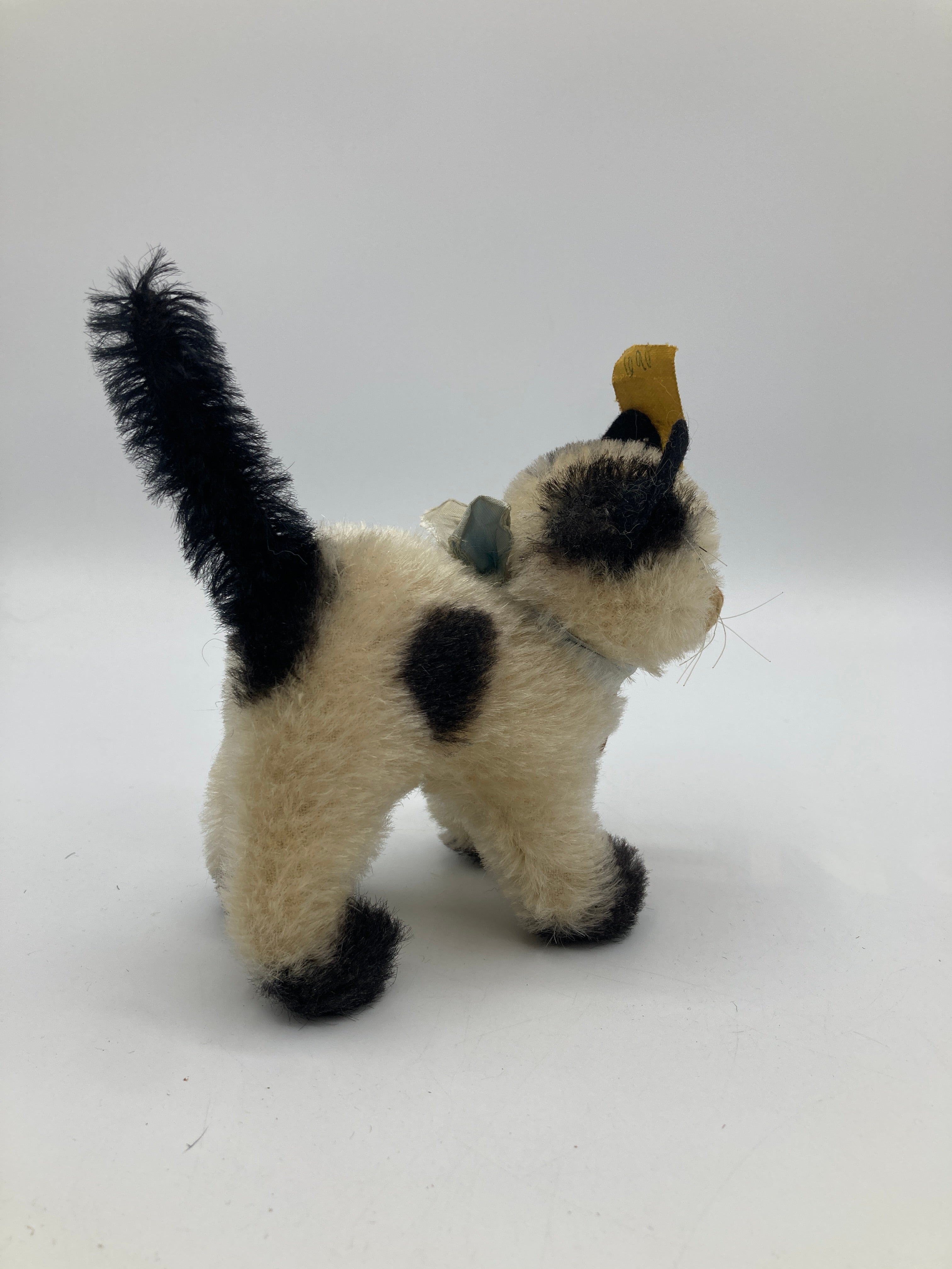Steiff Small Gussy Cat With All IDs | My Site