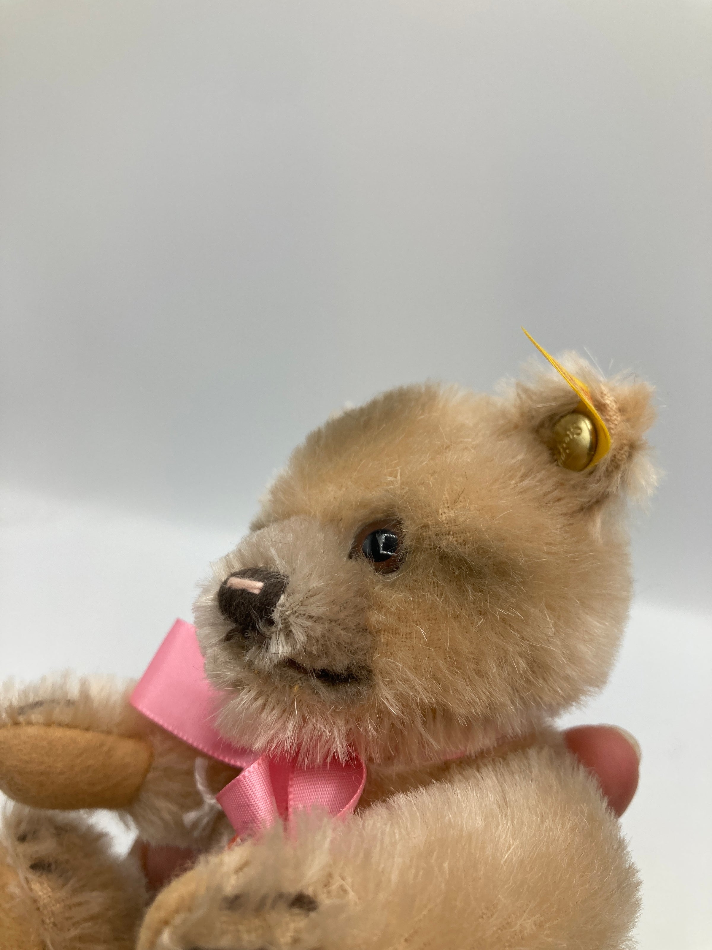 Steiff Mohair Jackie Teddy Bear Replica With All IDs | My Site