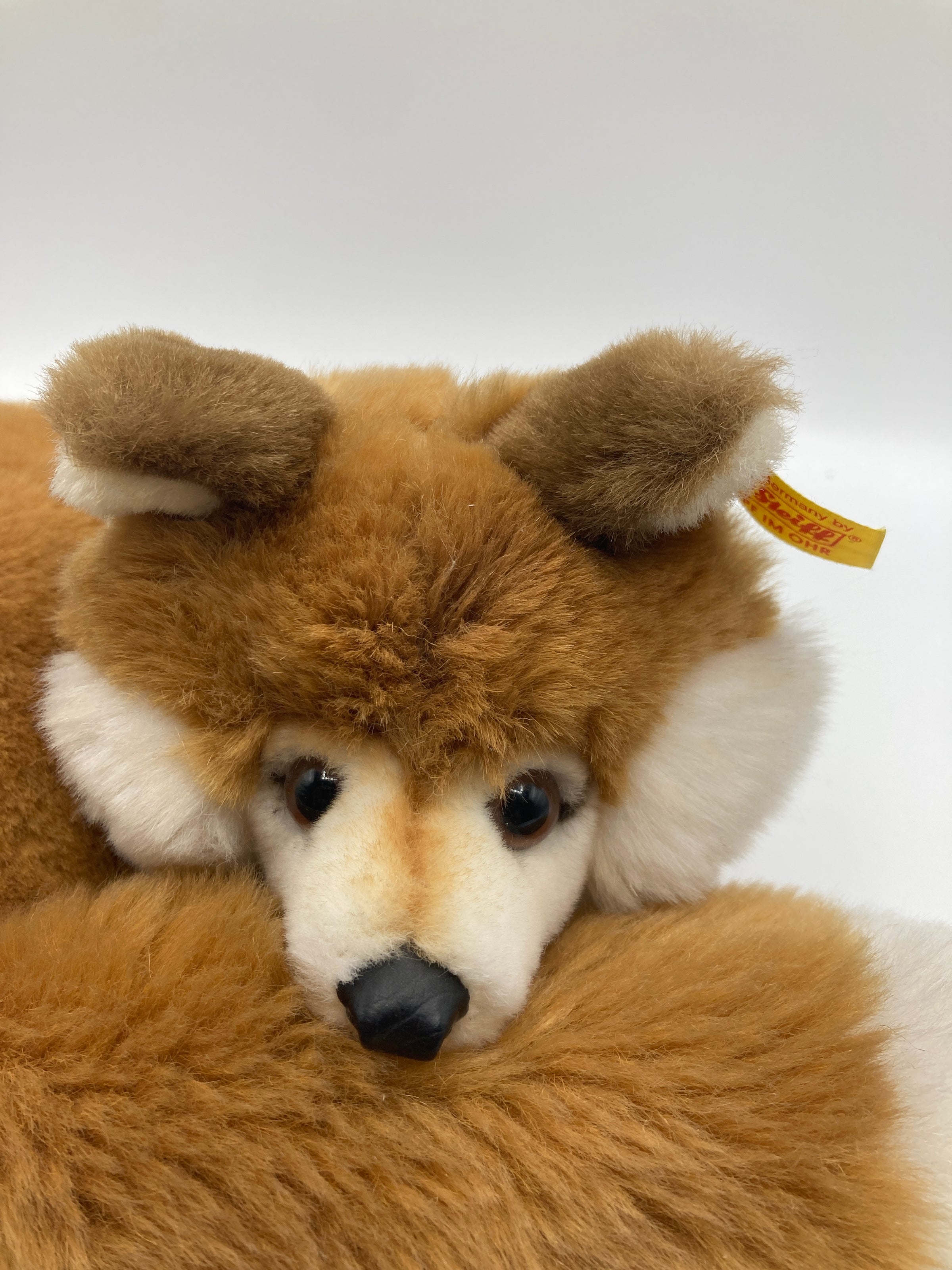 Steiff's Soft Plush Curled Up Xorry Fox With All IDs | My Site