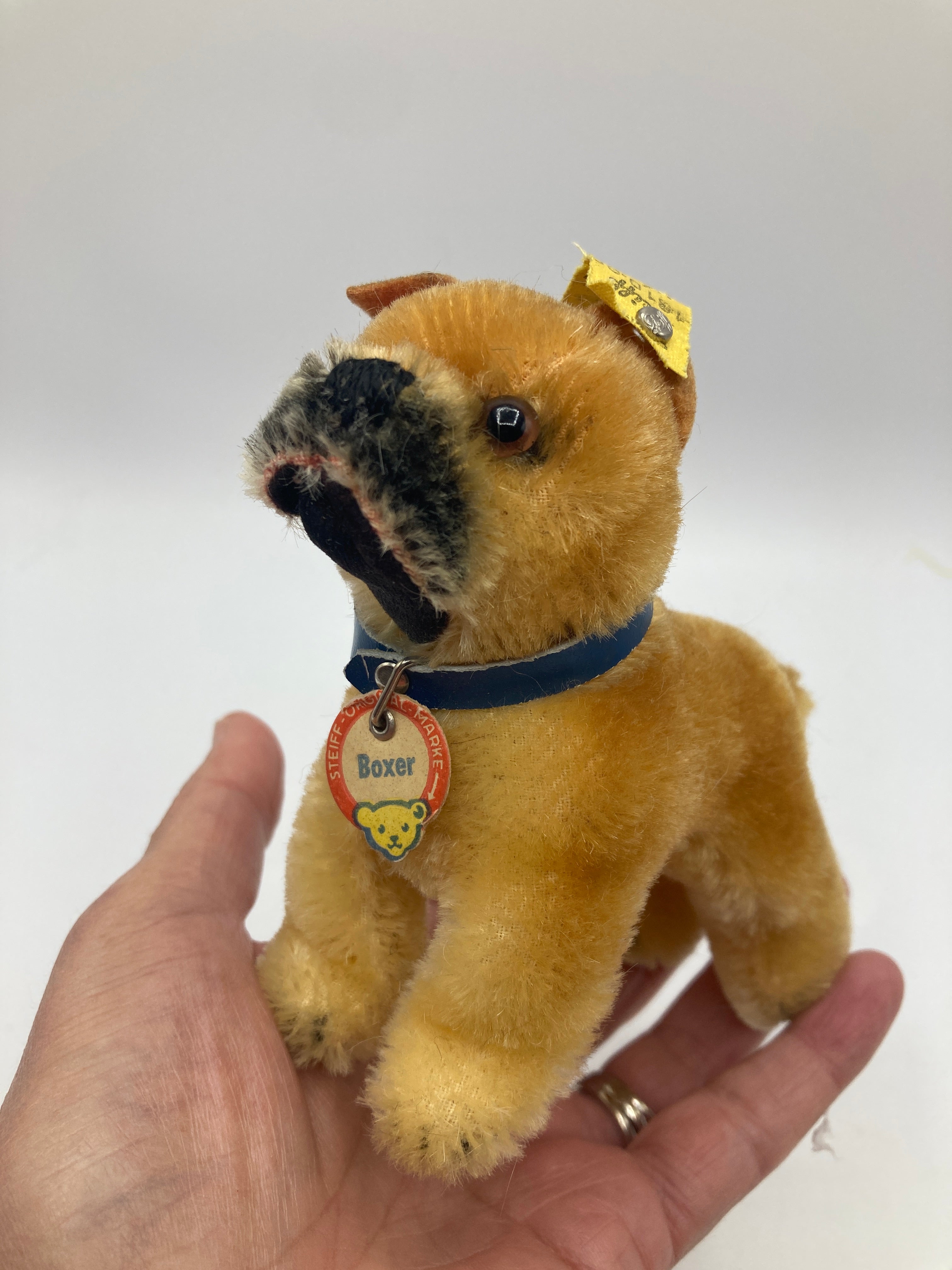 Steiff Smallest Standing Boxer Dog With All IDs | My Site
