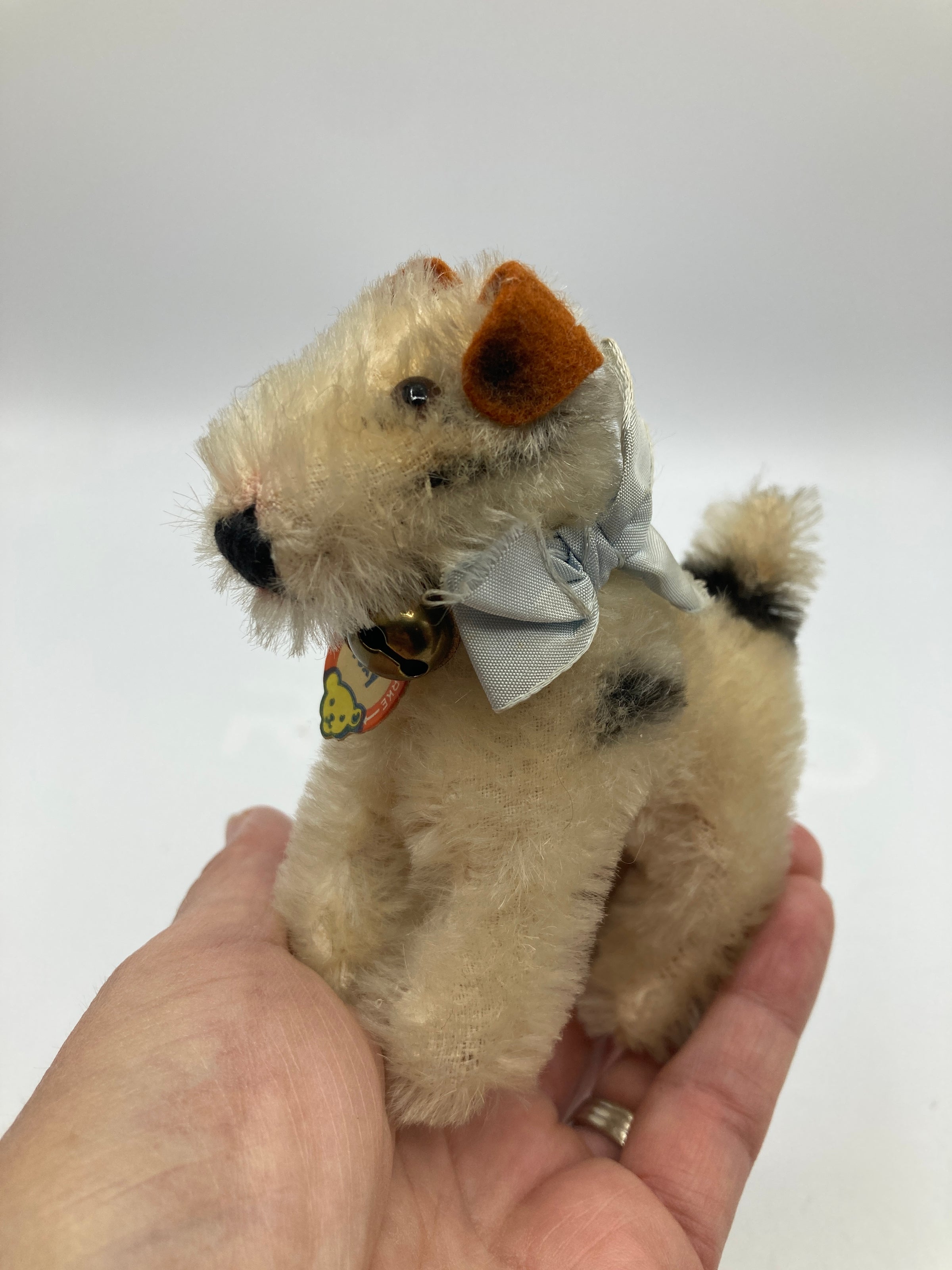 Steiff Almost Smallest Foxy Fox Terrier Dog With ID | My Site