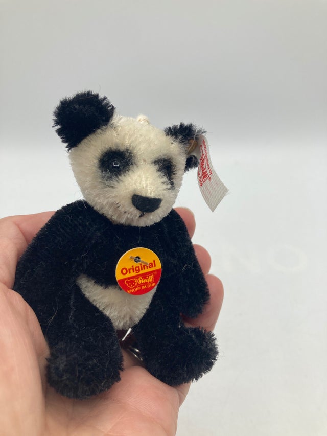 Bears | My Site