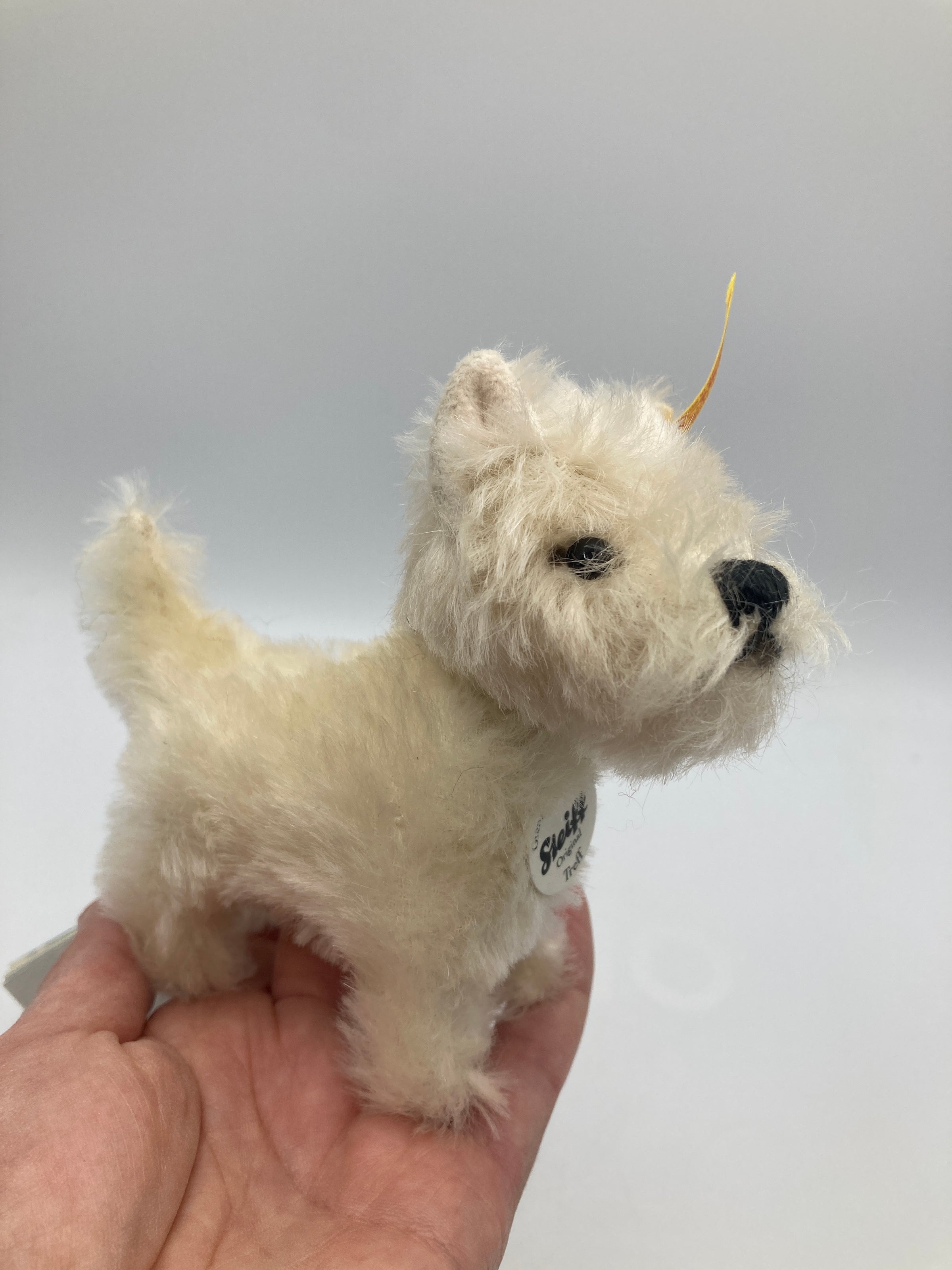 Steiff Mohair Treff West Highland Terrier Dog For Williams Sonoma