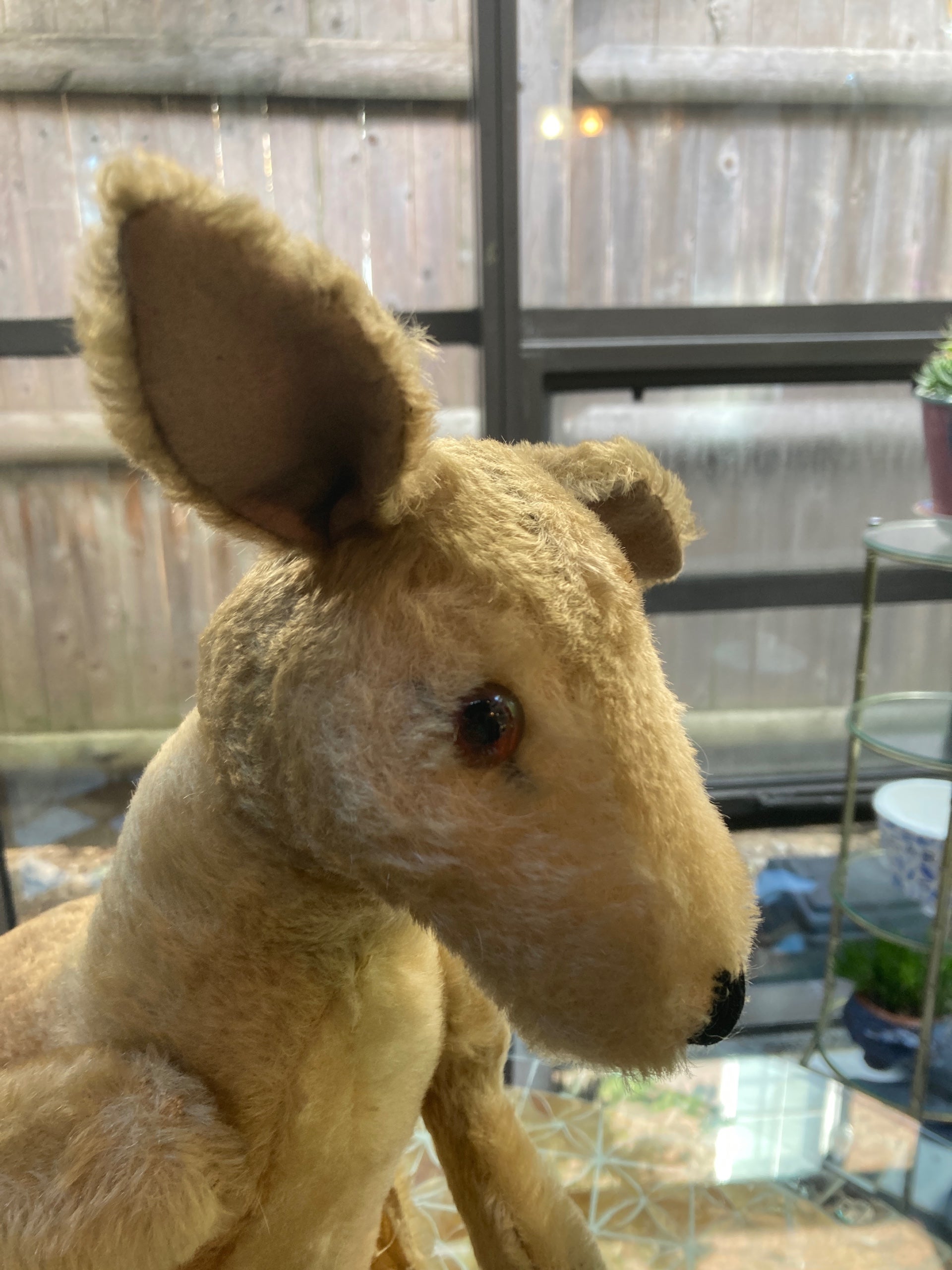 Steiff Almost Largest Sized Kangaroo With Joey | My Site