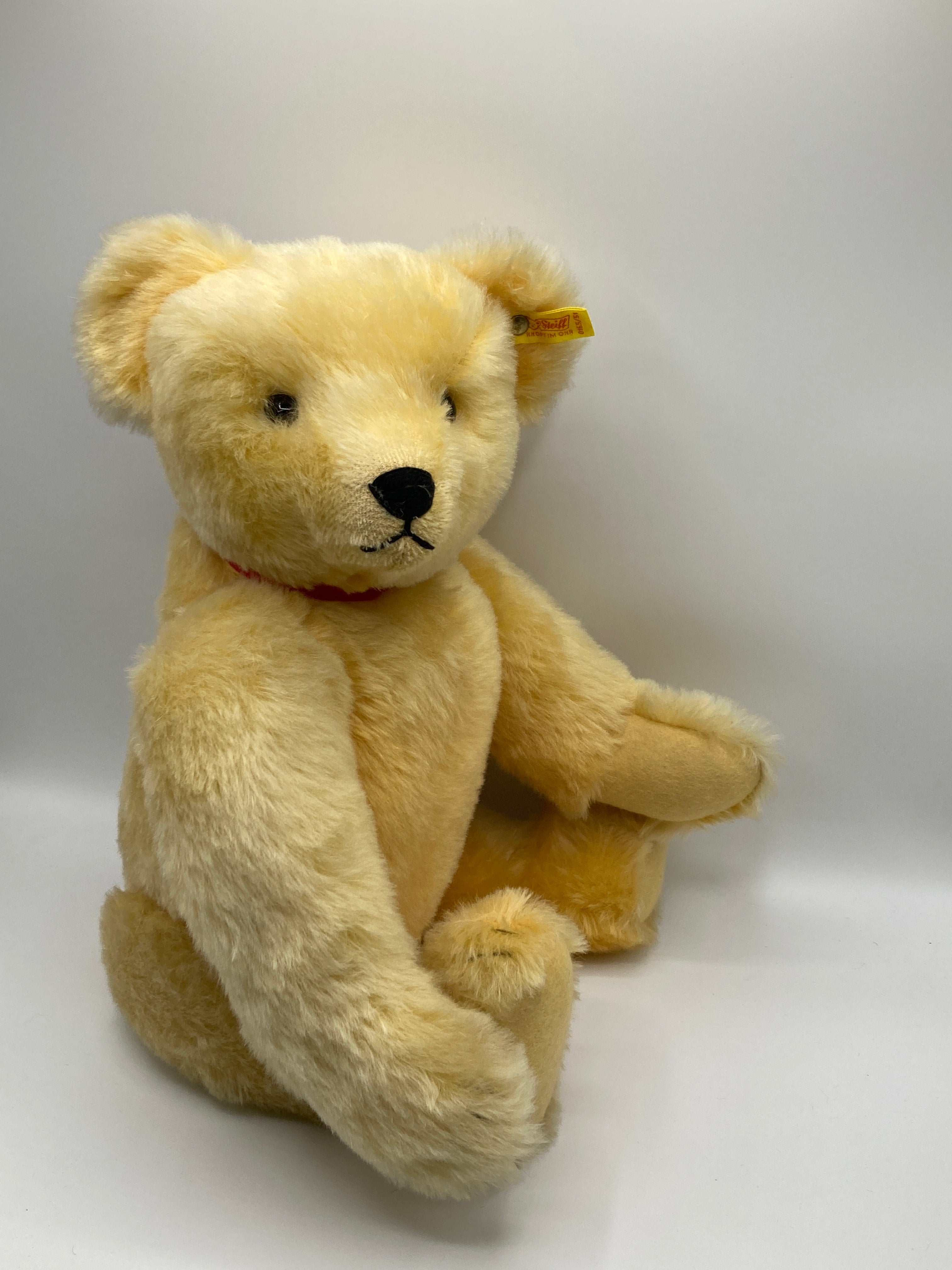 Steiff Larger Sized 1909 Classic Teddy Bear Replica With All IDs