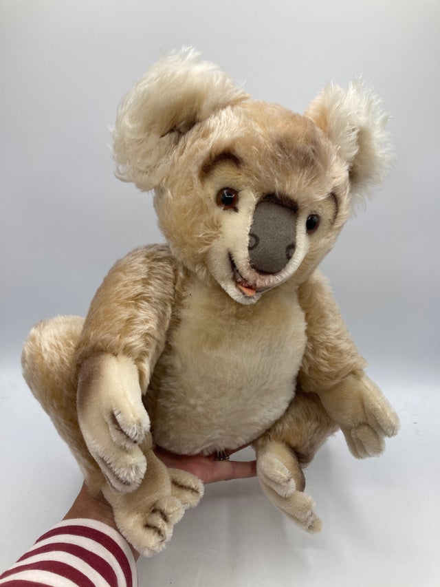 Bears | My Site