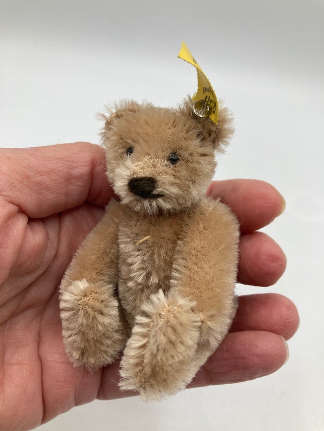 Bears | My Site