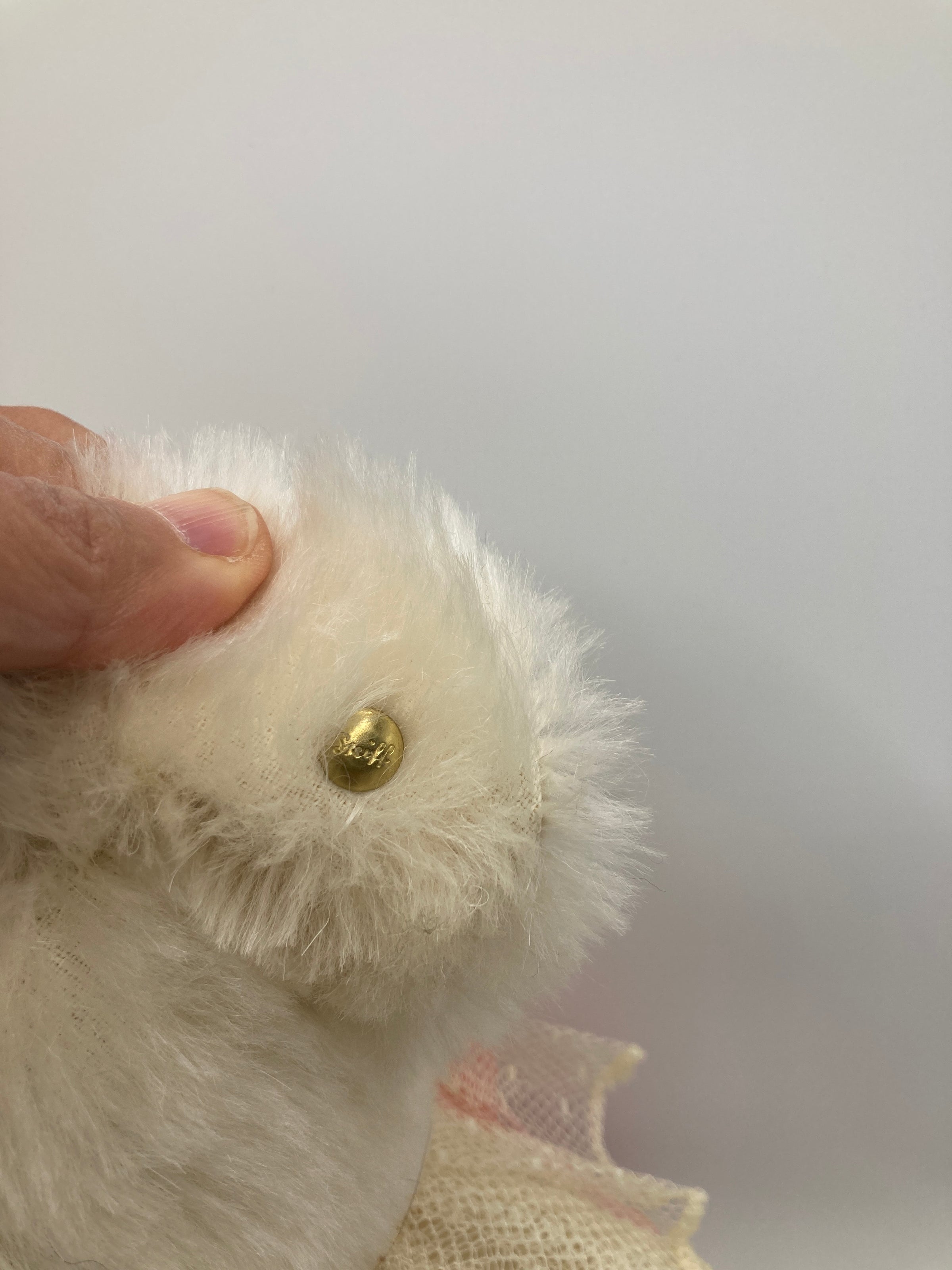 Steiff White Ophelia Teddy Bear With All IDs | My Site
