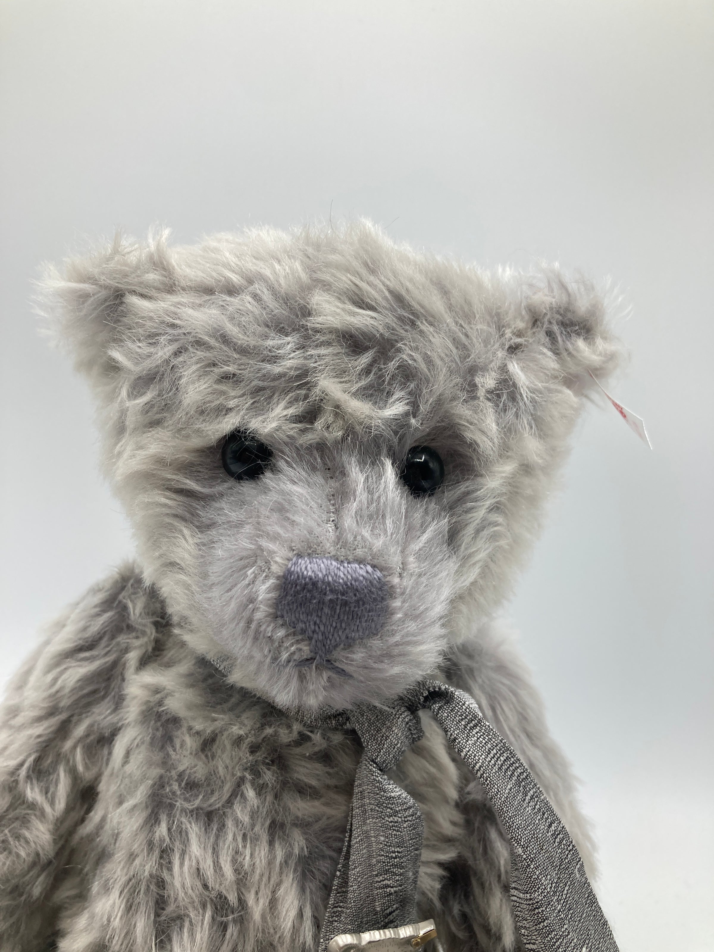 Steiff Club Limited Edition Grey Mohair Teddy Bear With All IDs